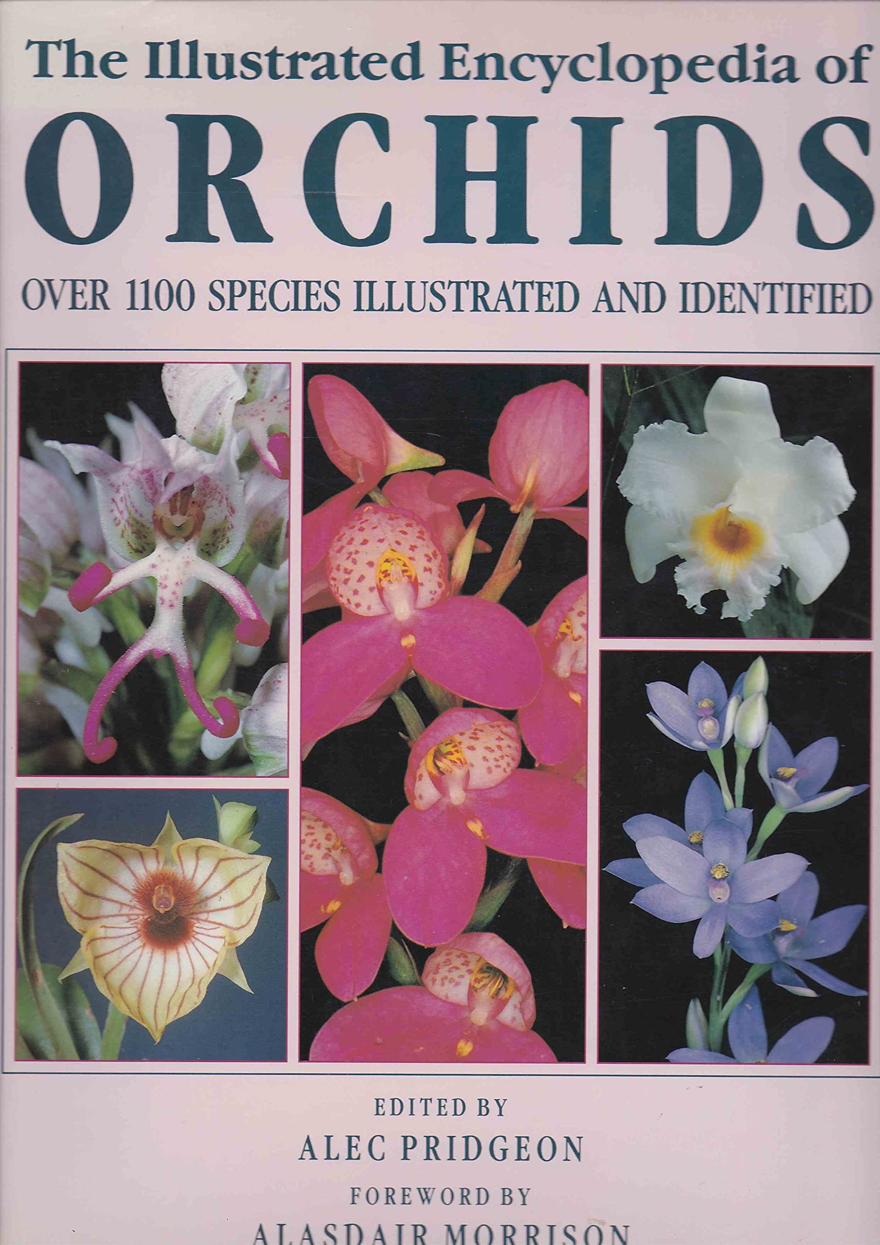 Illustrated Encyclopedia of Orchids Garden & Plants