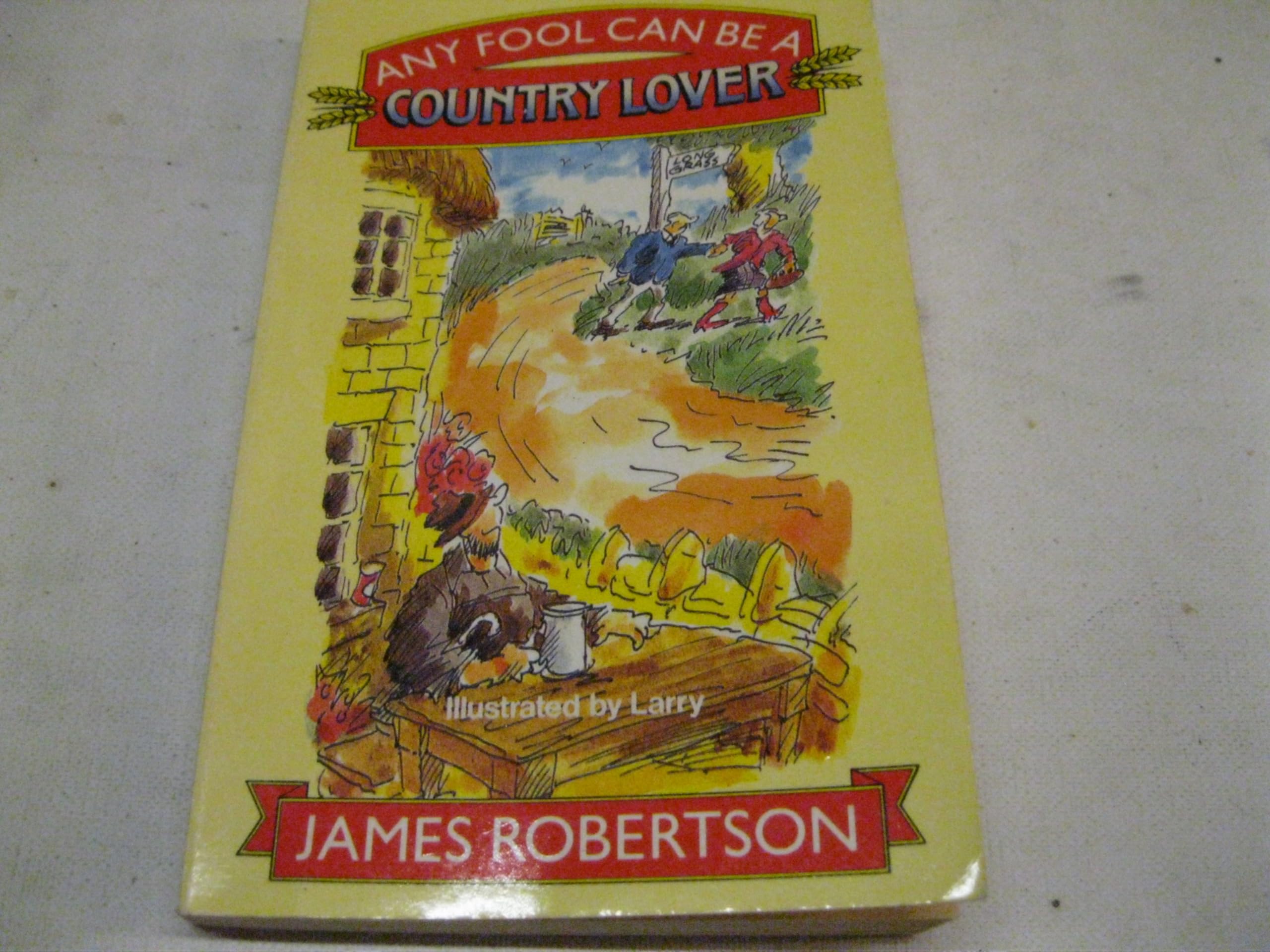Any Fool Can be a Country Lover book