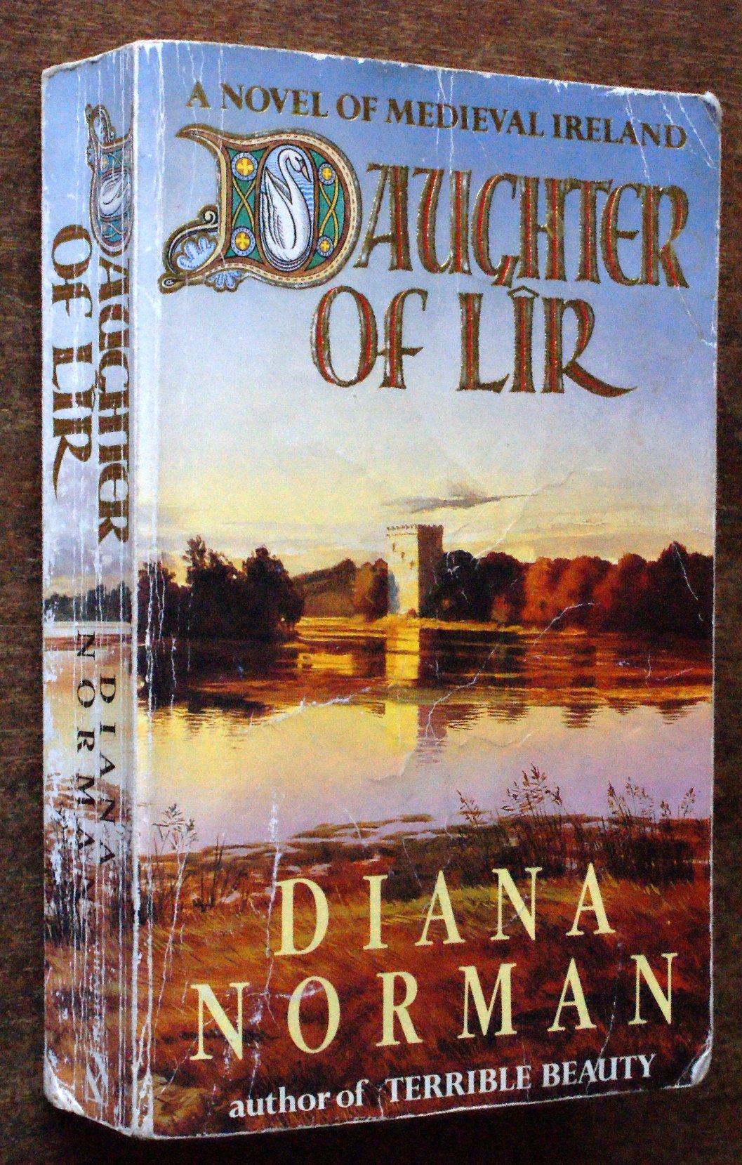 Daughter of Lir Contemporary literature