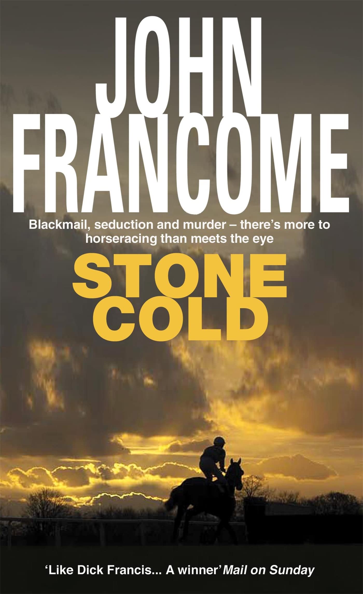 Stone Cold Contemporary literature Books