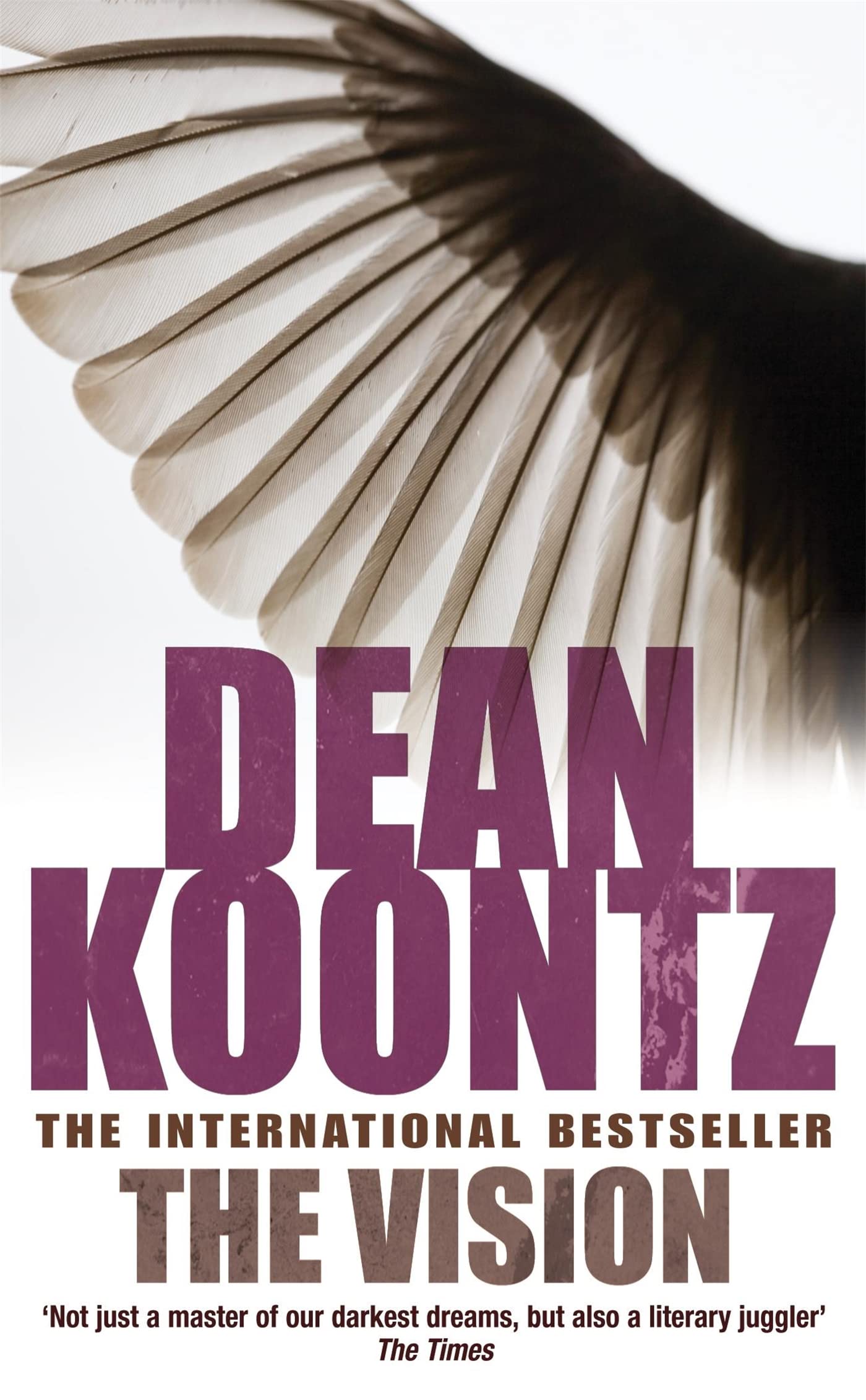The Vision: A gripping thriller of spine-tingling suspense Horror & Mystery