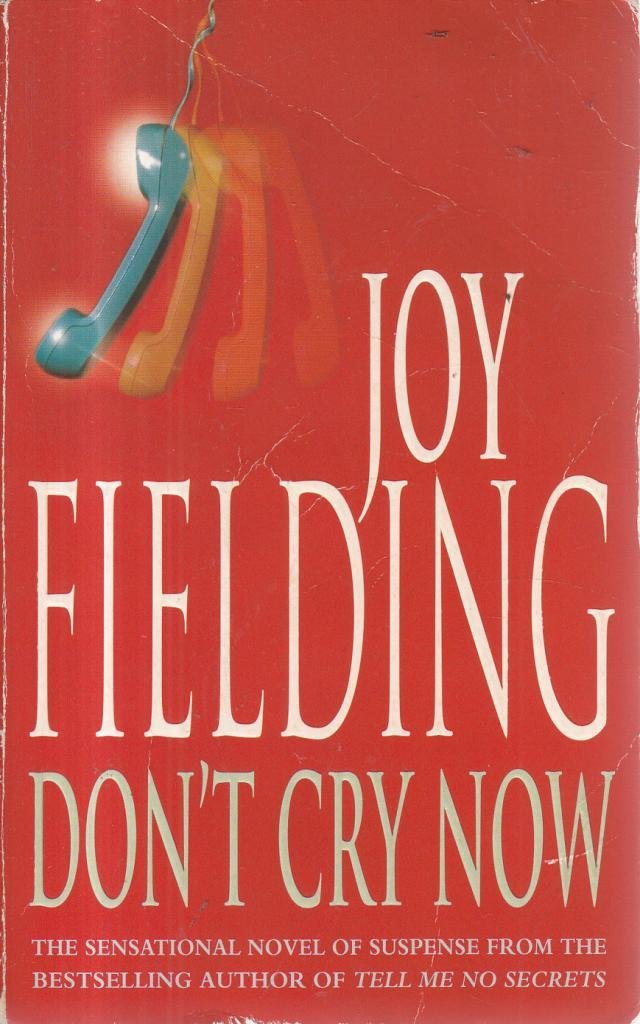 Don't Cry Now Contemporary literature Books