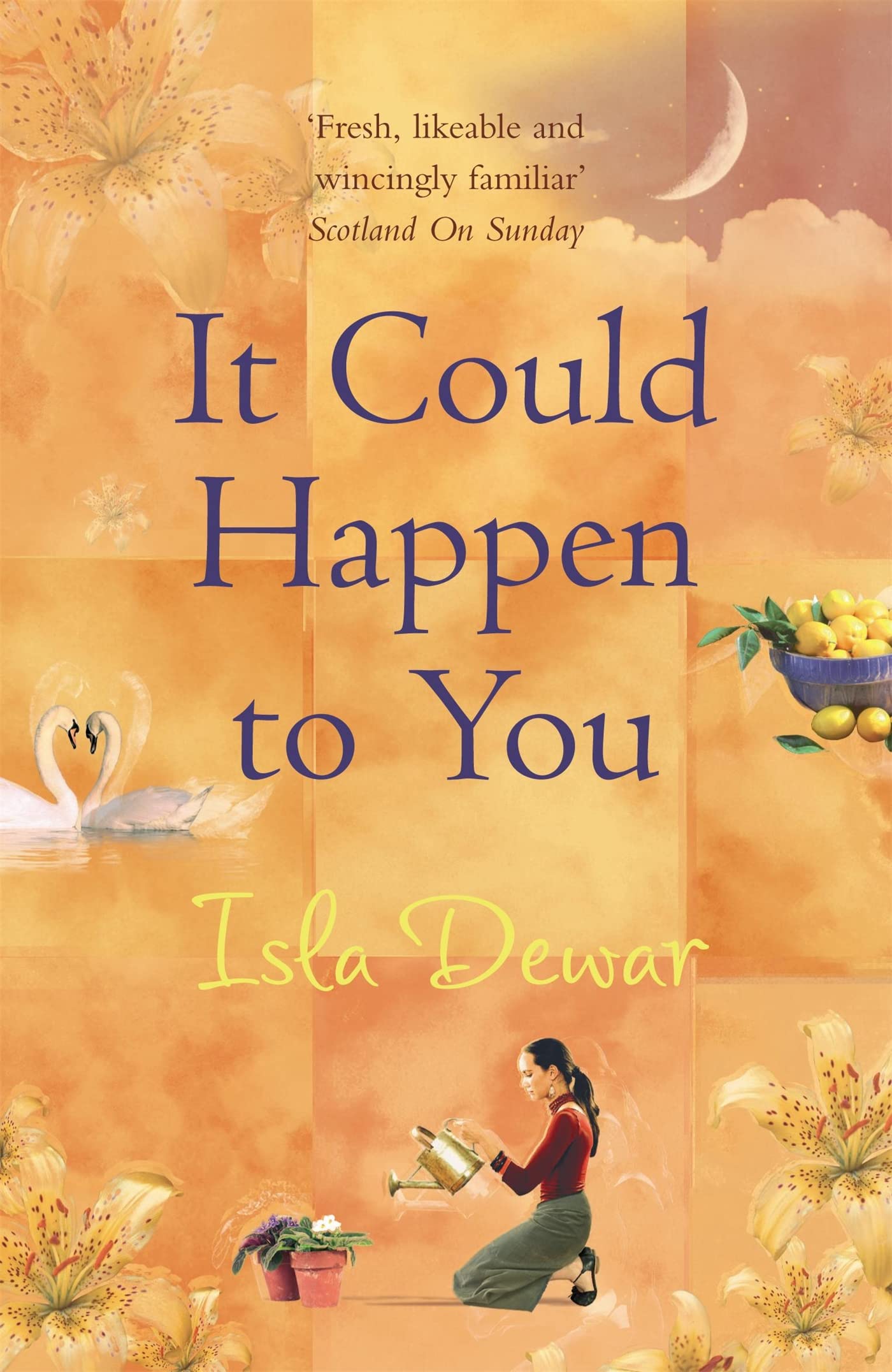 It Could Happen to You Contemporary literature Books