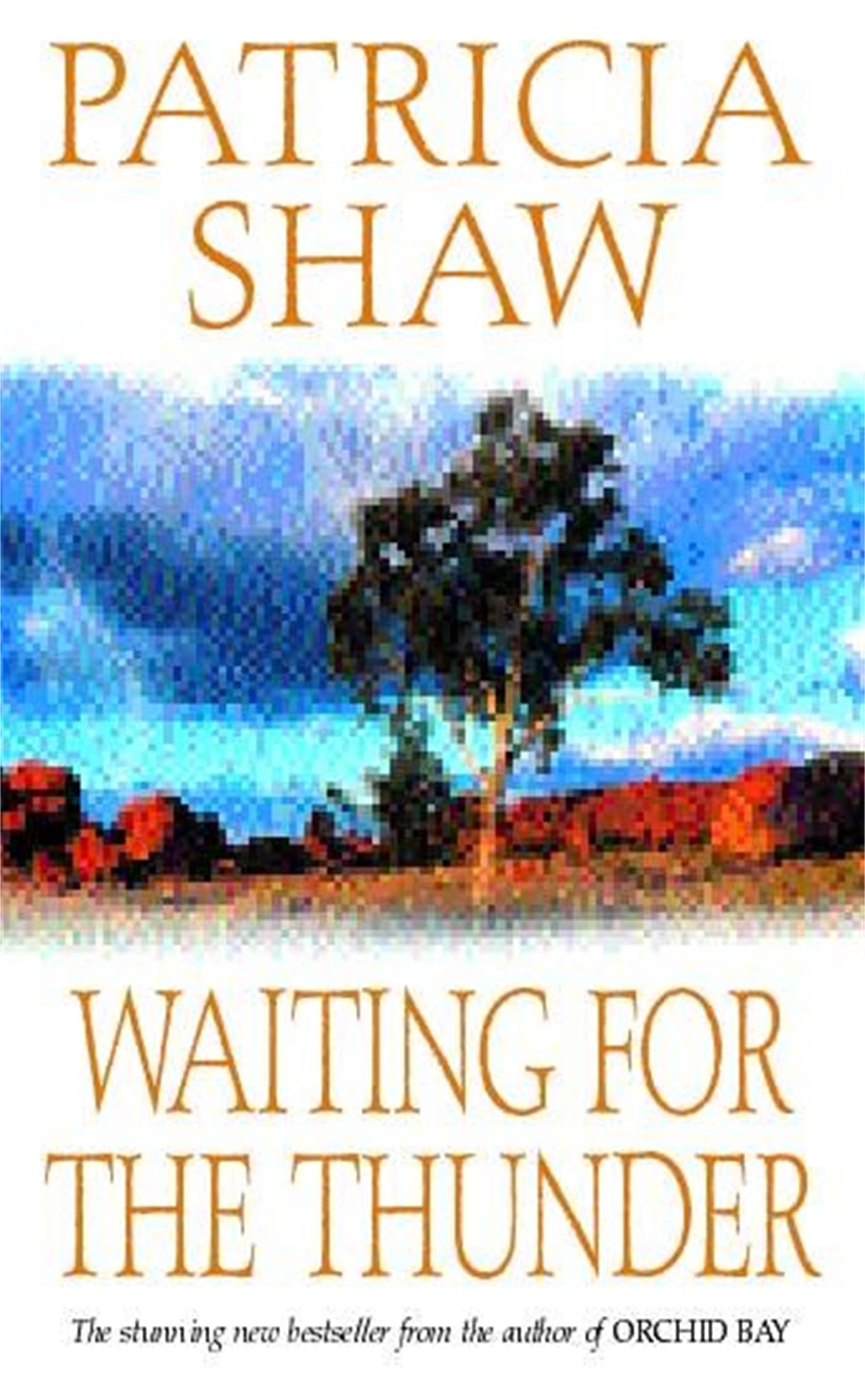 Waiting for the Thunder: A vivid Australian saga of strength and survival Contemporary literature