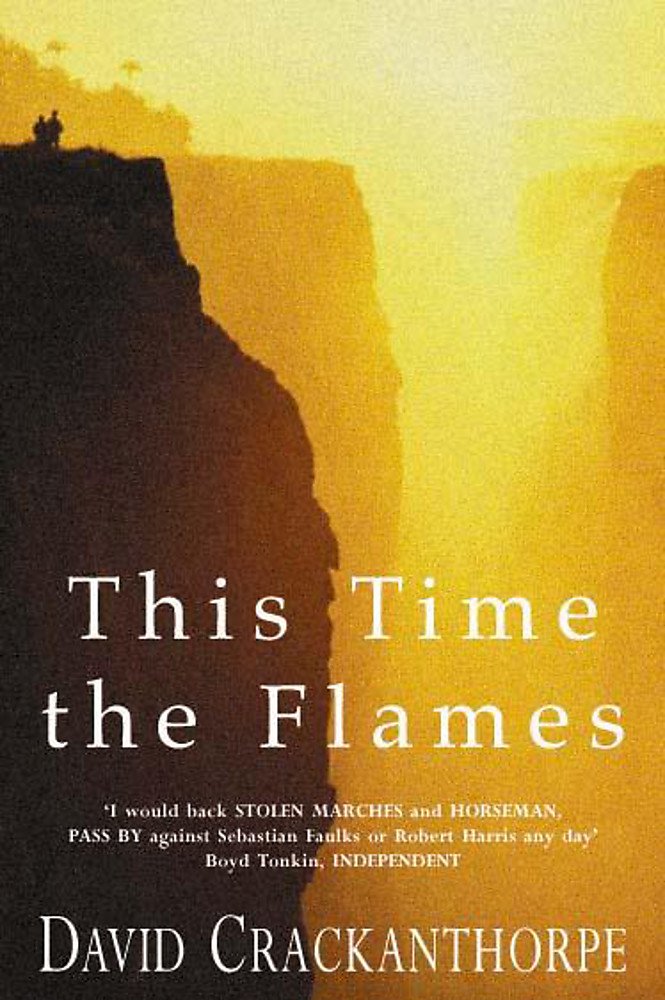 This Time the Flames book