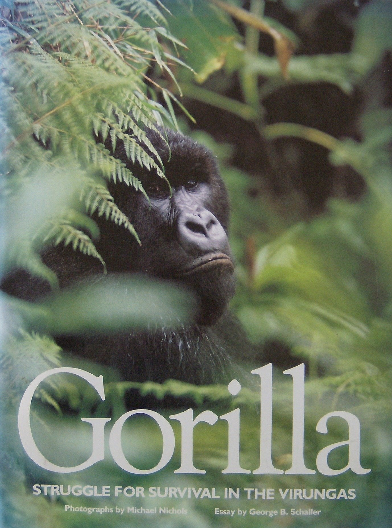 Gorilla: Struggle for Survival in the Urungas book