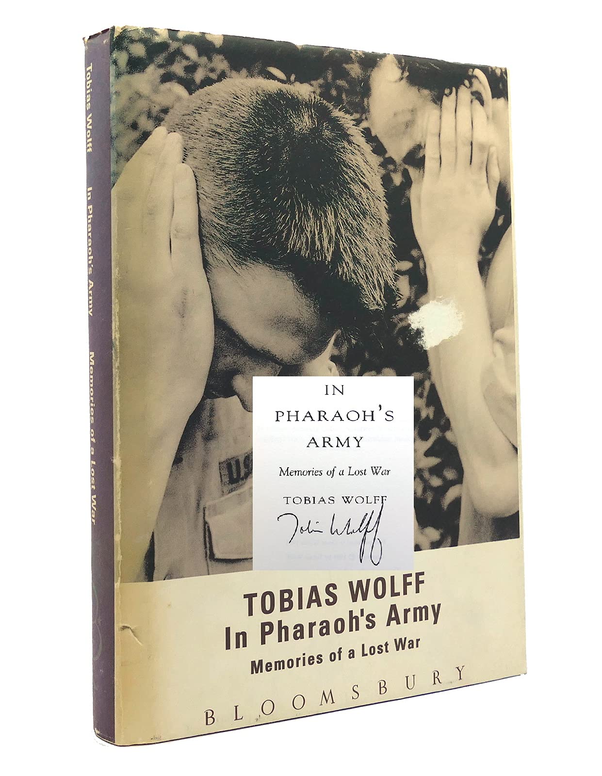 In Pharaoh's Army: Memories of a Lost War book
