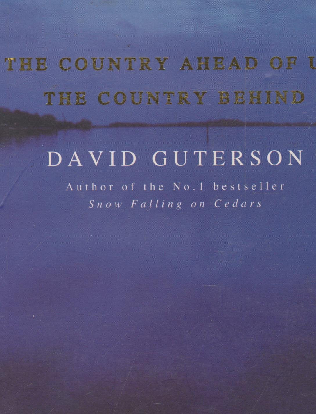 The Country Ahead of Us Essays & Short Stories