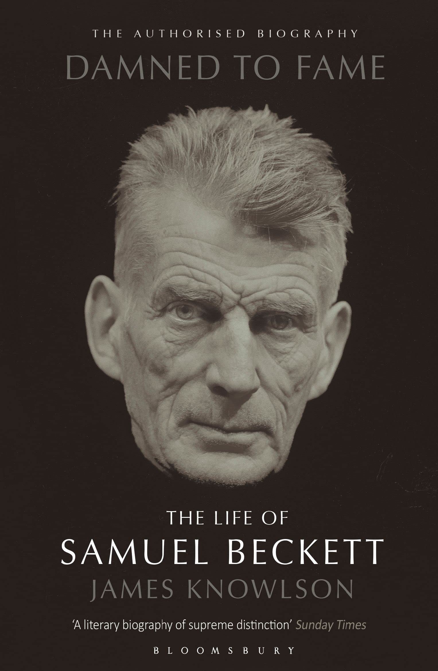 Damned to Fame: Samuel Beckett: The Life of Samuel Beckett Social Sciences