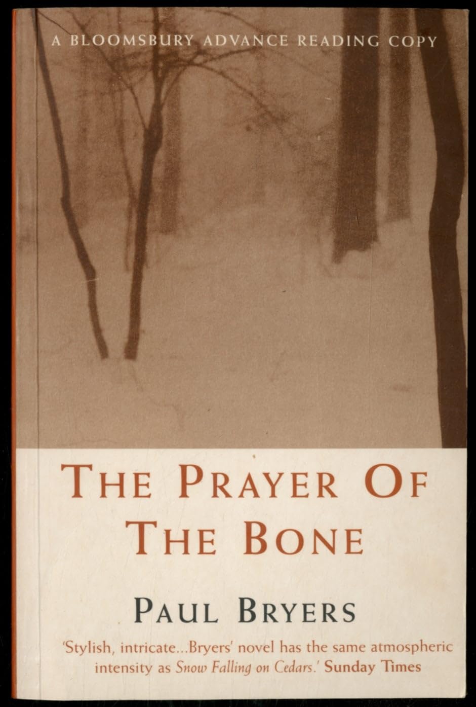 The Prayer of the Bone Contemporary literature