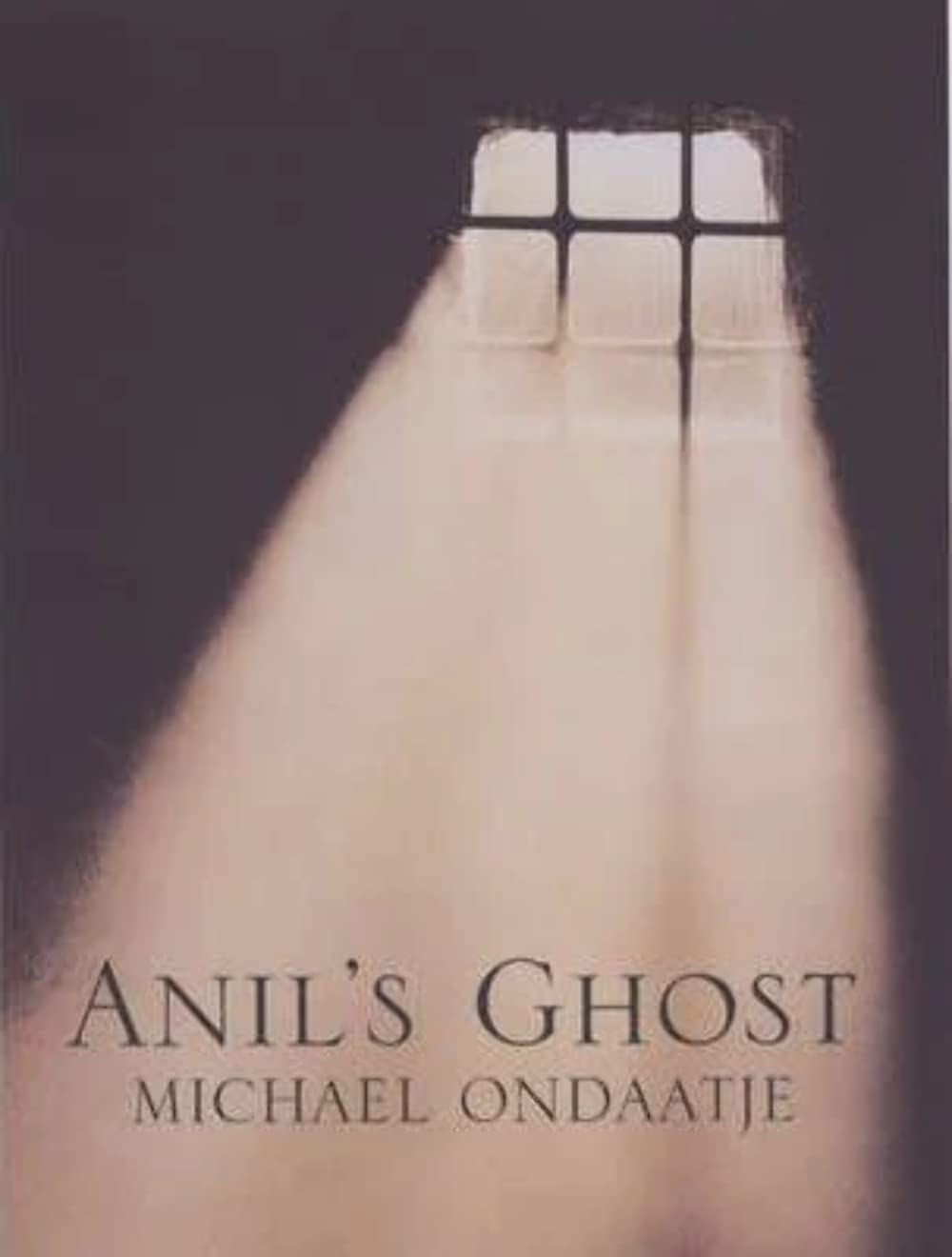 Anil's Ghost Contemporary literature