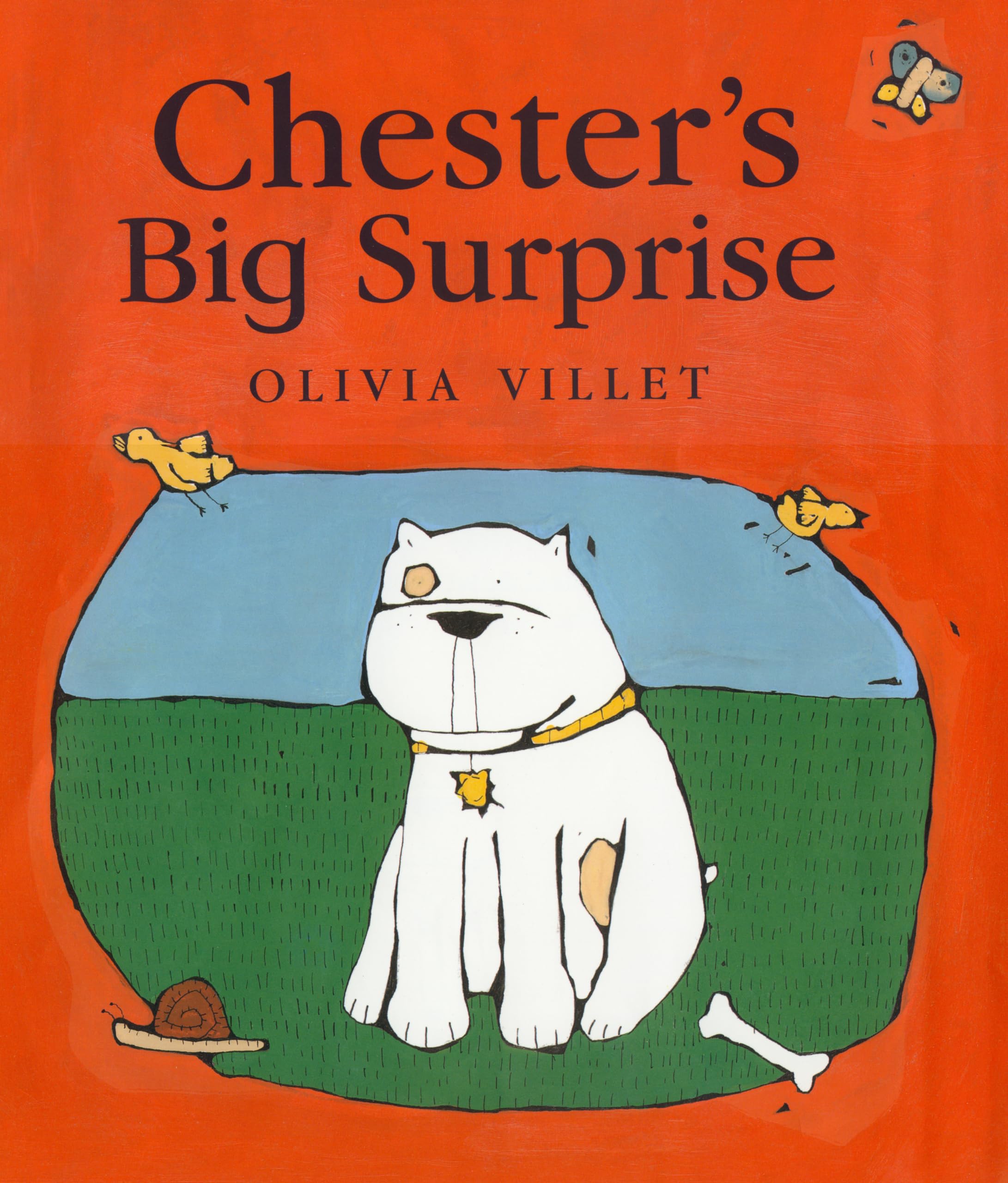 Chesters Big Surprise Novels & Short Stories for children