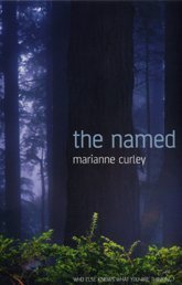The Named Fiction