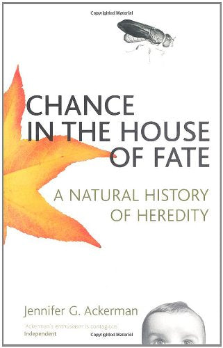 Chance in the House of Fate Business & Technology