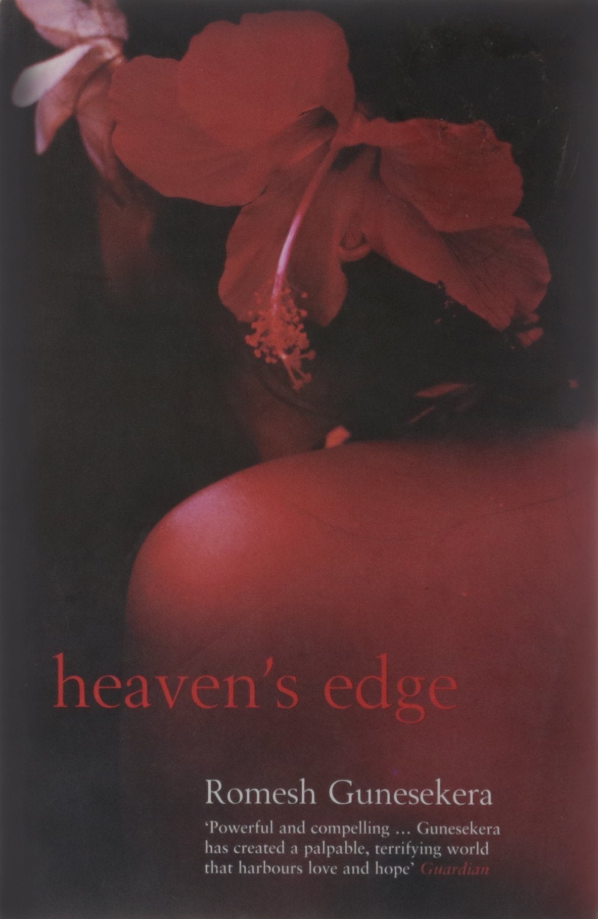 Heaven's Edge Contemporary literature