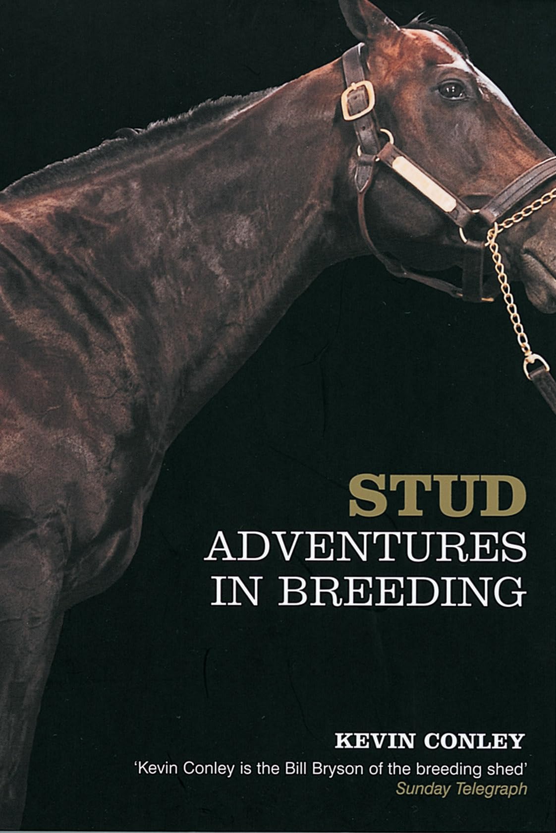 Product Image: Stud: Adventures in Breeding