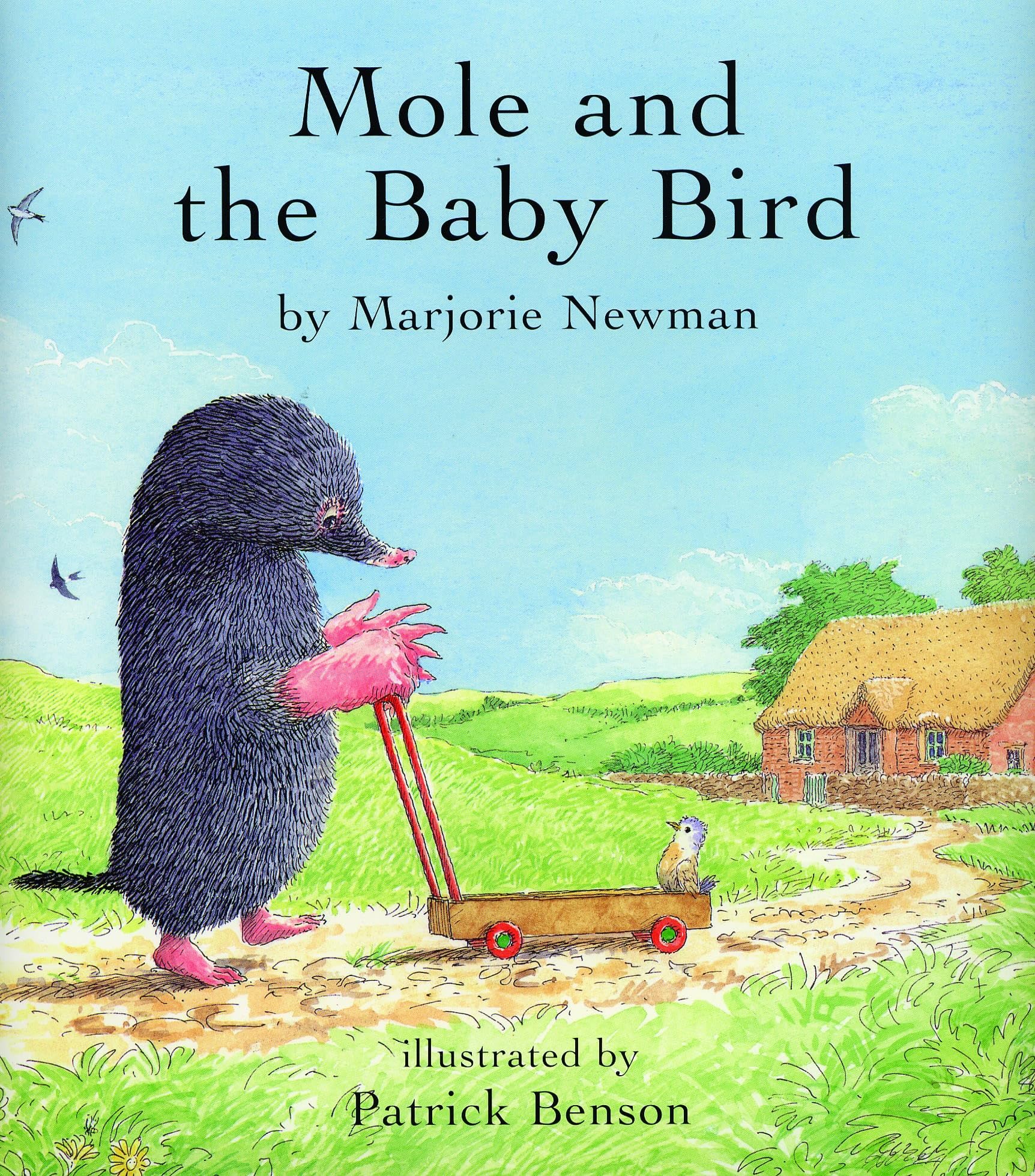 Mole and the Baby Bird: Boardbook Novels & Short Stories