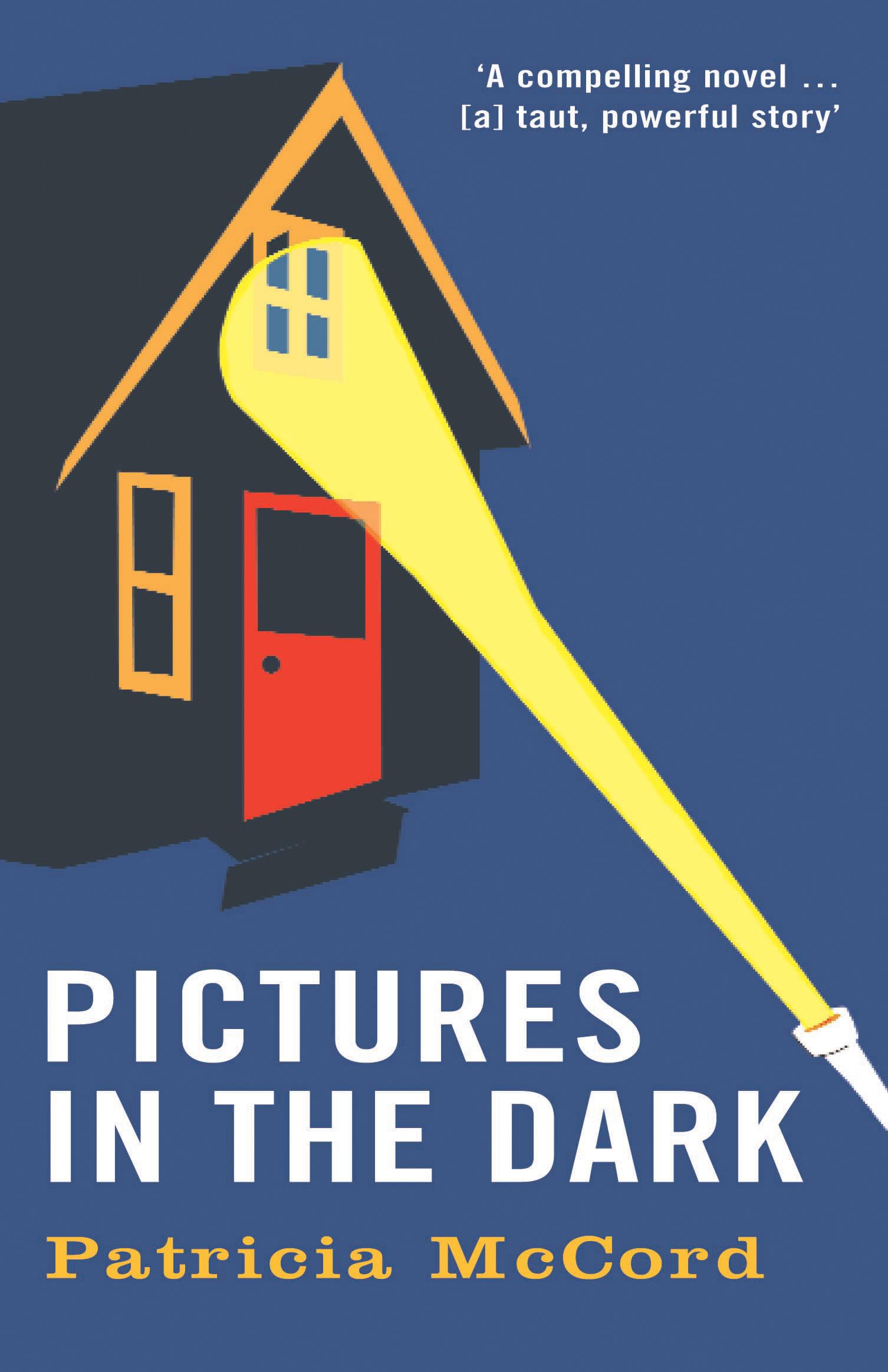 Pictures in the Dark book