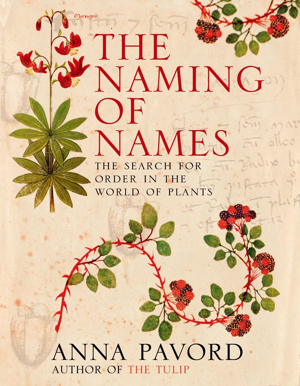 The Naming of Names: The Search for Order in the World of Plants Mathematics