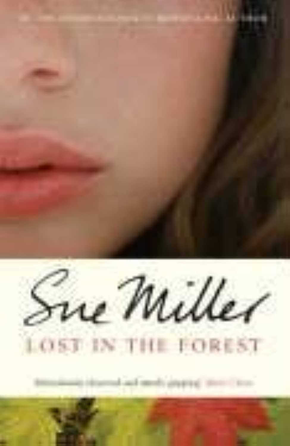 Product Image: Lost in the Forest