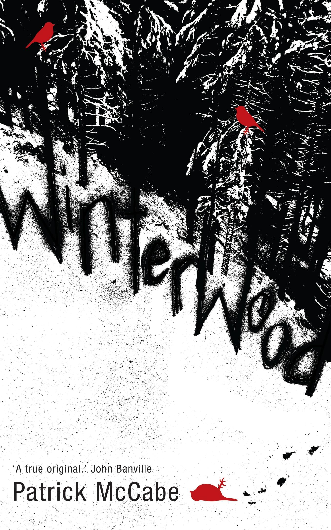 Winterwood: Winner of the Irish Novel of the Year Award 2007 Contemporary literature