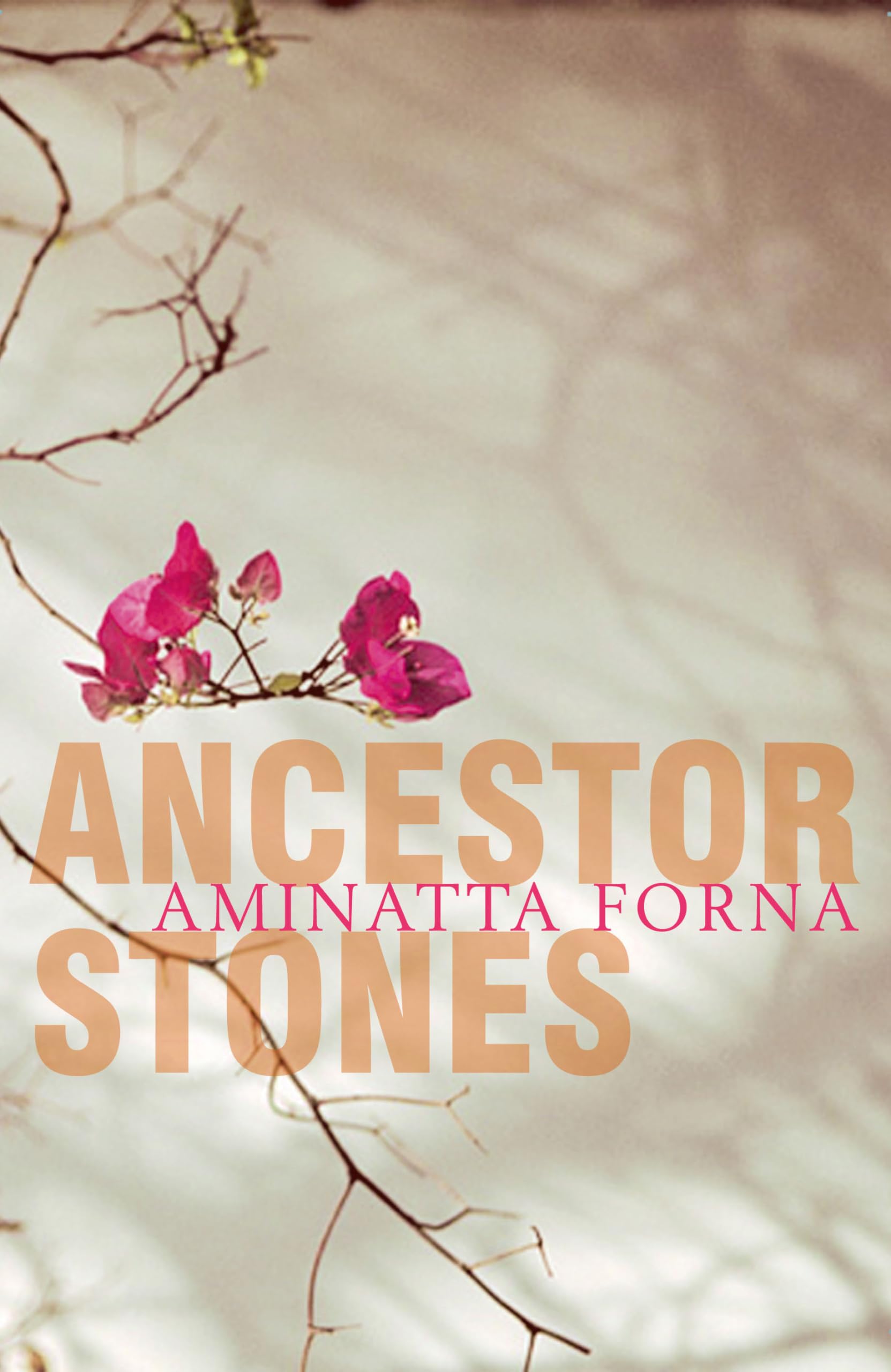 Ancestor Stones Contemporary literature