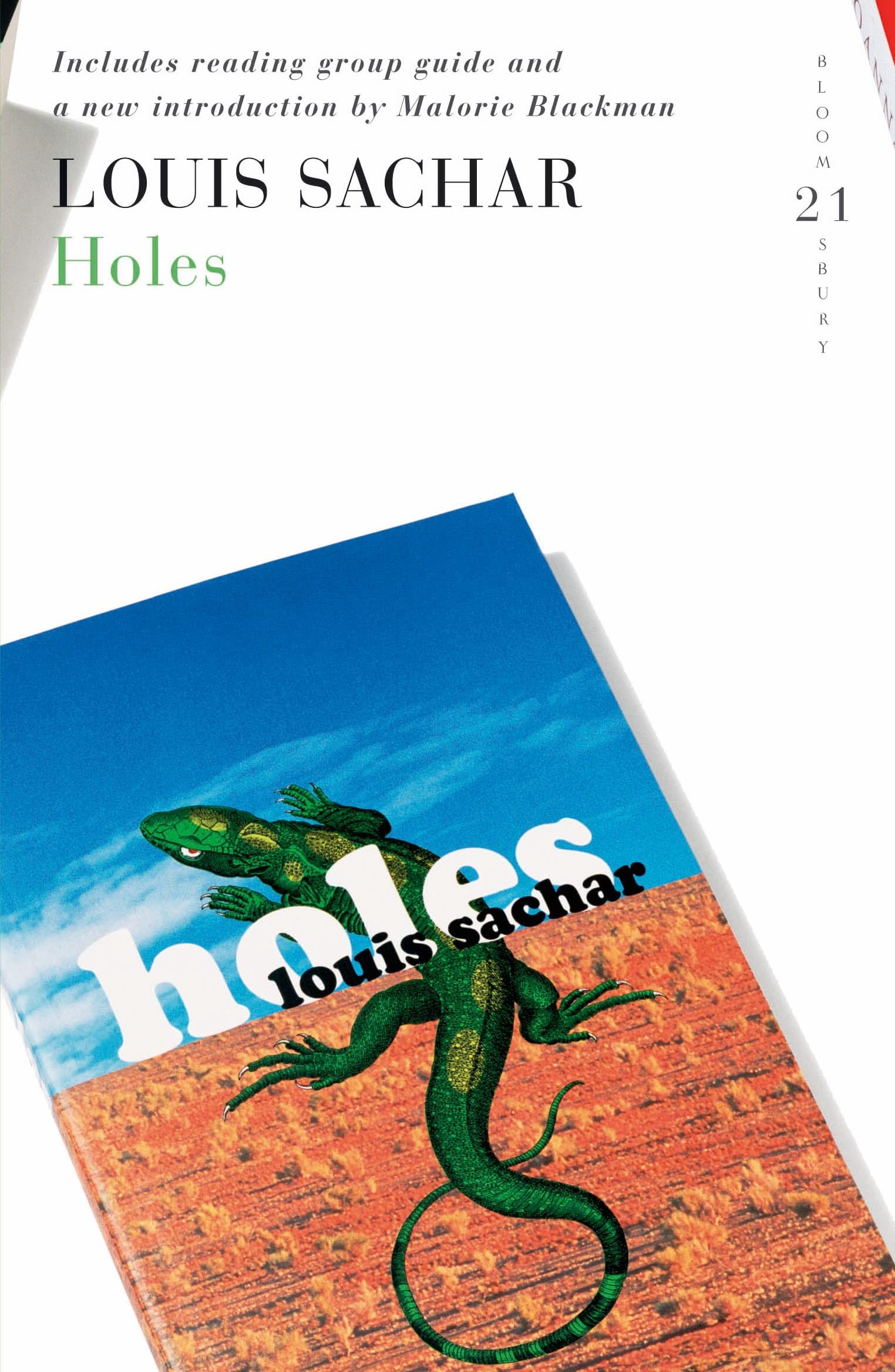 Holes: 21 Great Bloomsbury Reads for the 21st Century Fiction