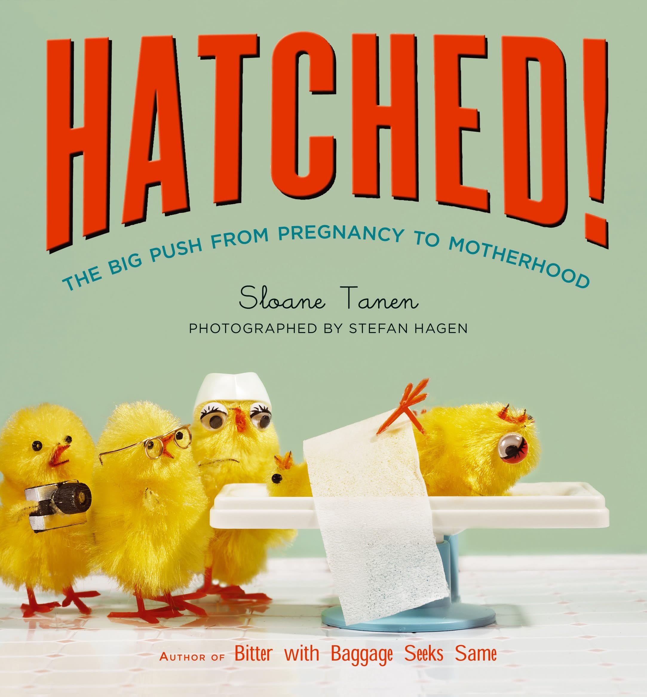 Hatched!: The Big Push from Pregnancy to Motherhood Fiction