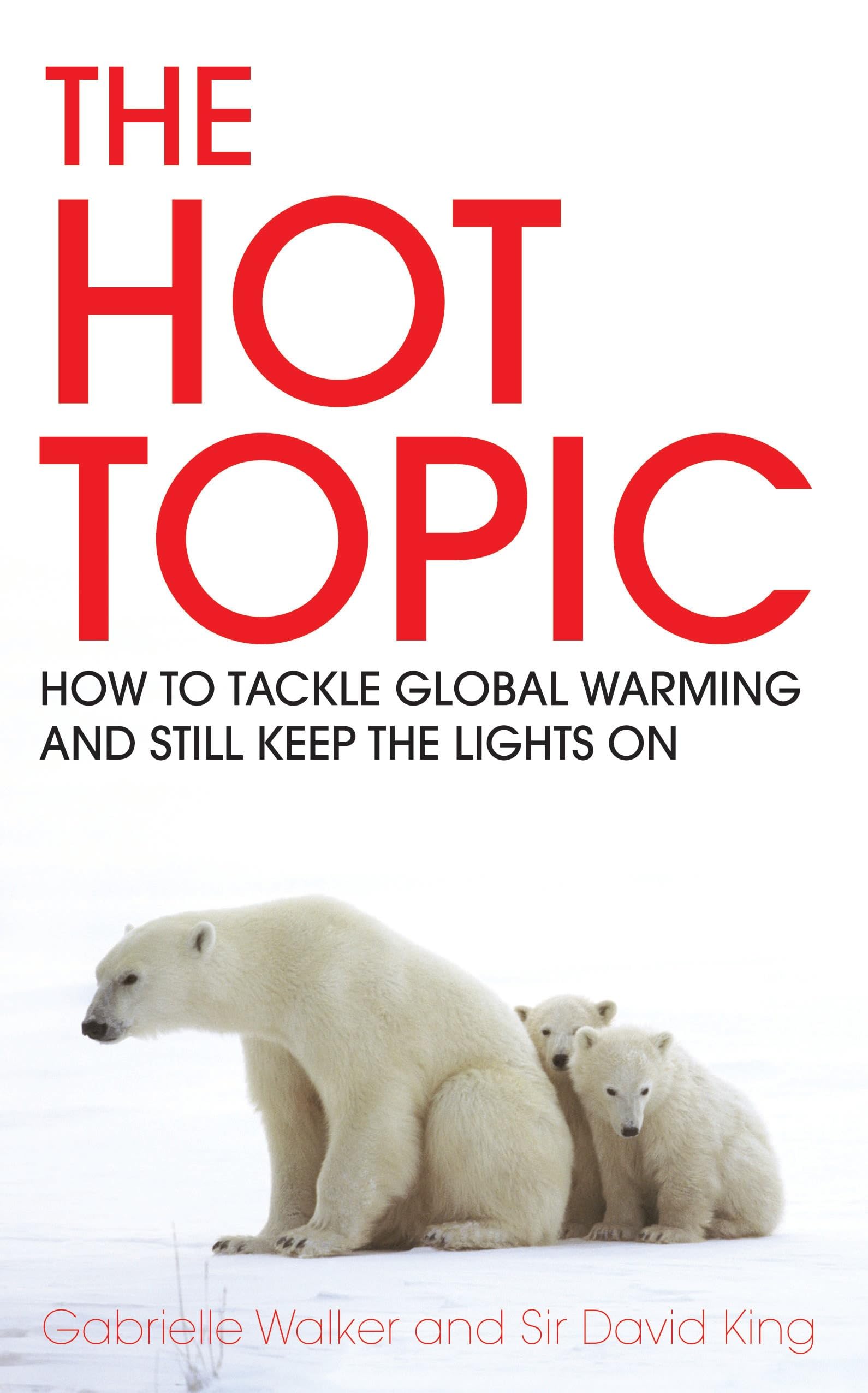 The Hot Topic: How to Tackle the Global Warming and Still Keep the Lights on Mathematics