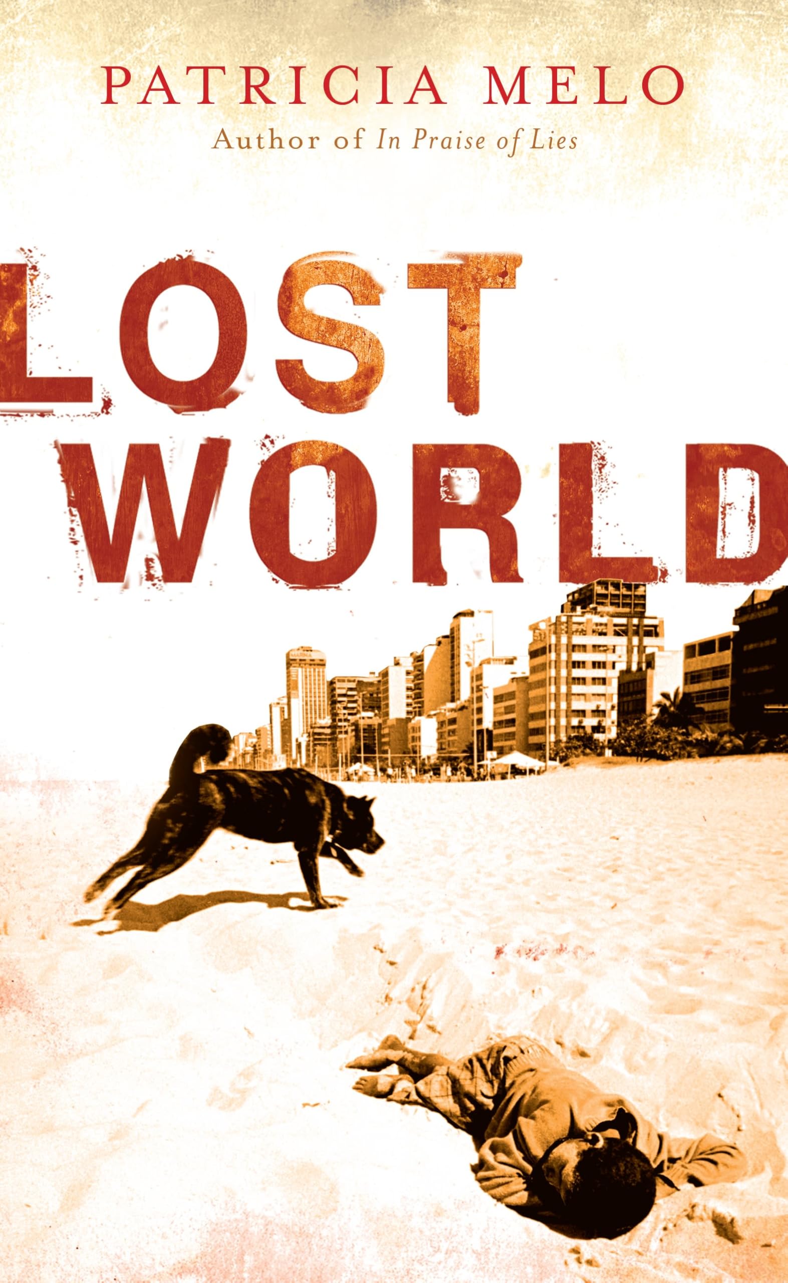 Lost World: Translated from the Brazilian Portuguese by Clifford Landers Contemporary literature