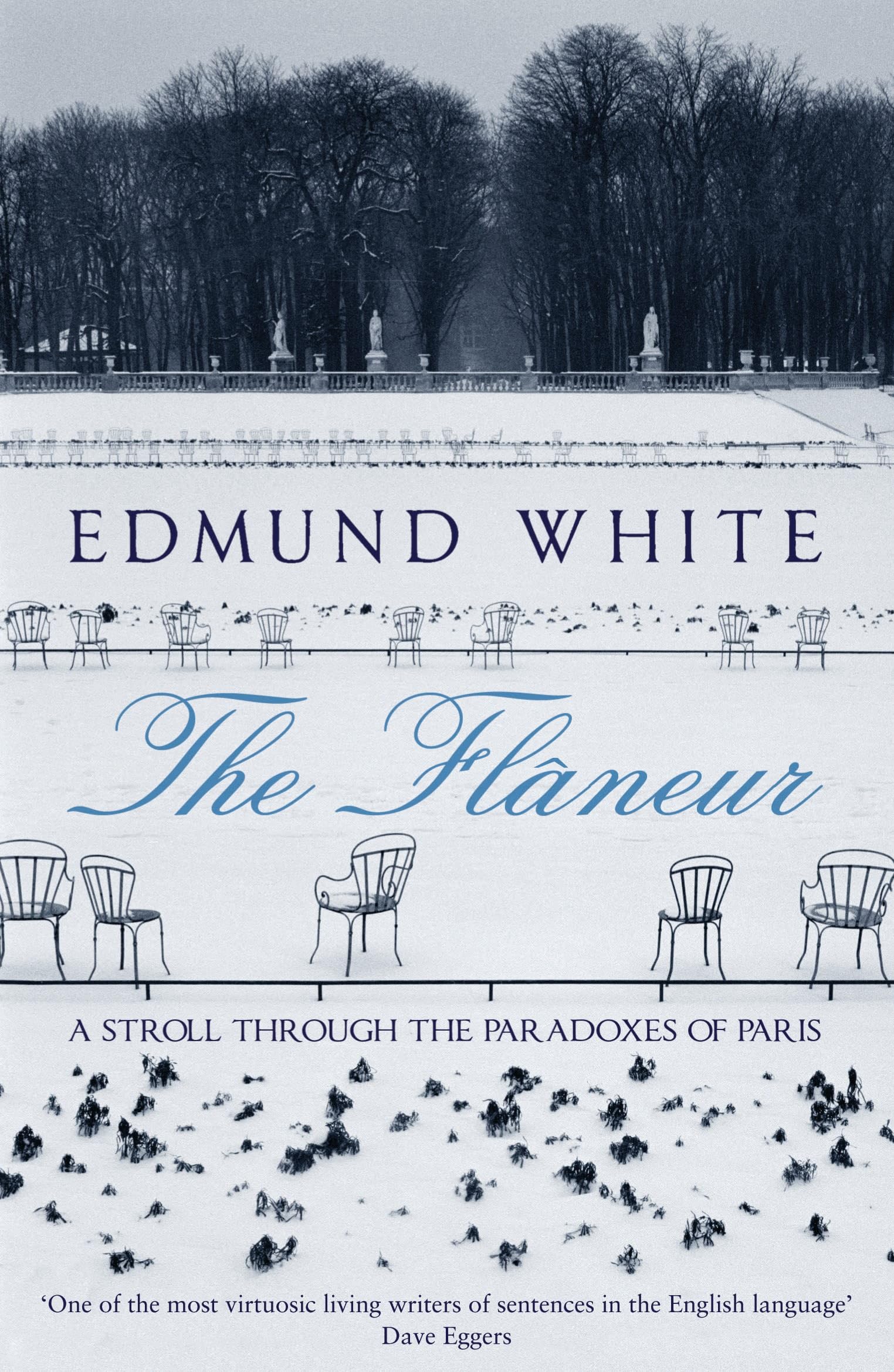 The Flaneur: A Stroll through the Paradoxes of Paris Politics & Society