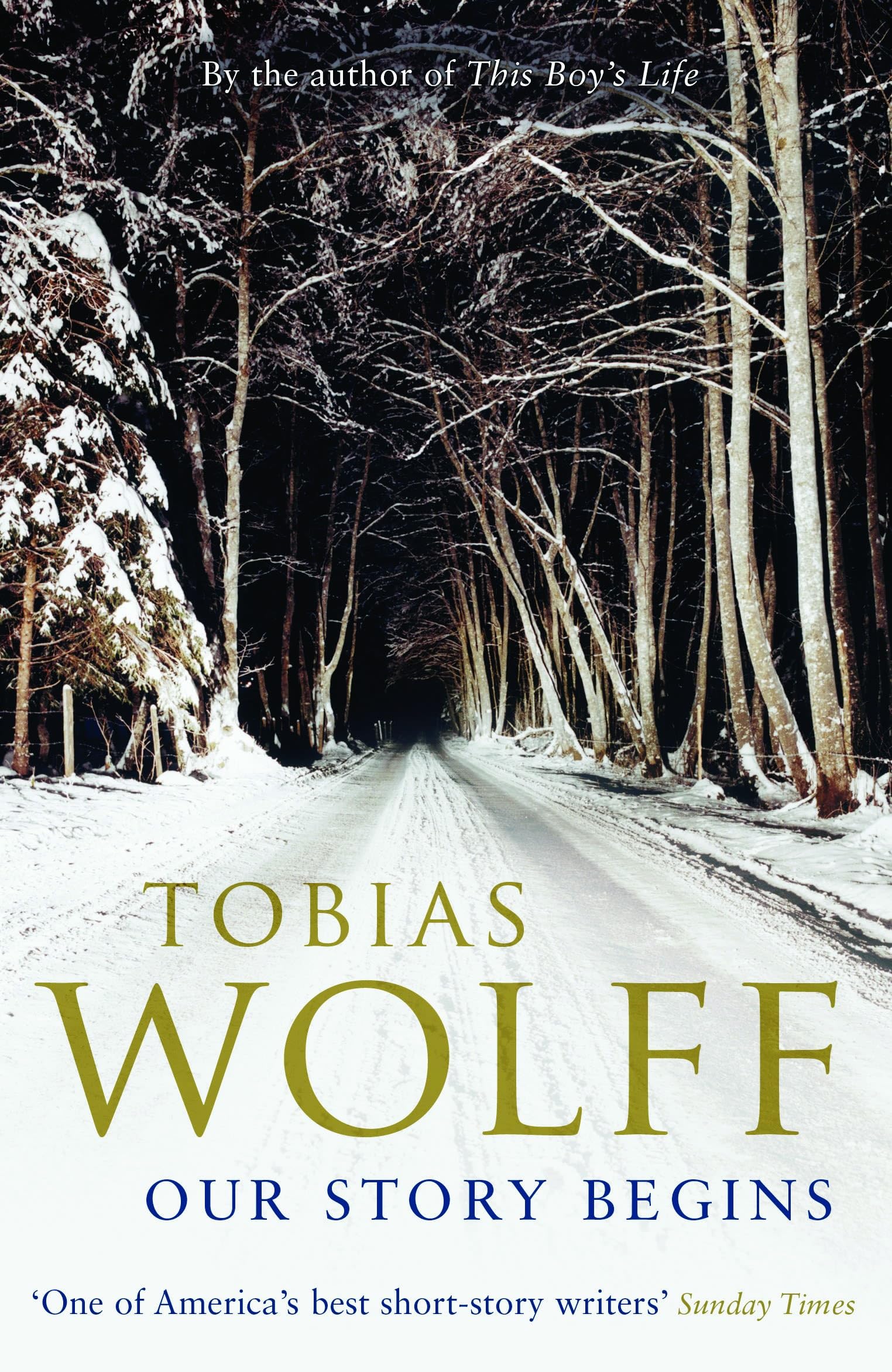 Our Story Begins Essays & Short Stories