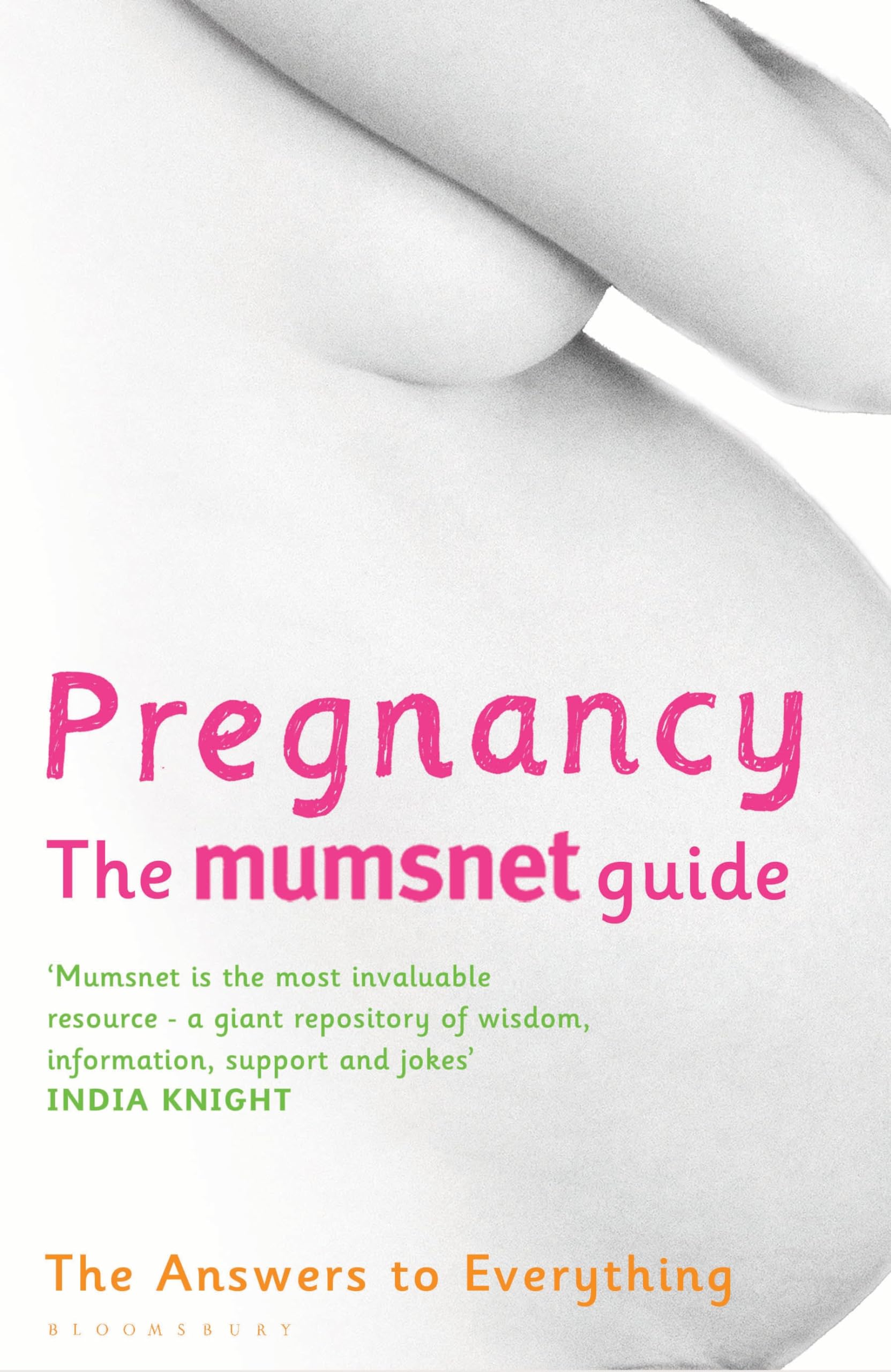 Pregnancy: The Mumsnet Guide: A Million Mums' Trade Secrets: The Answers to Everything Parents & Children