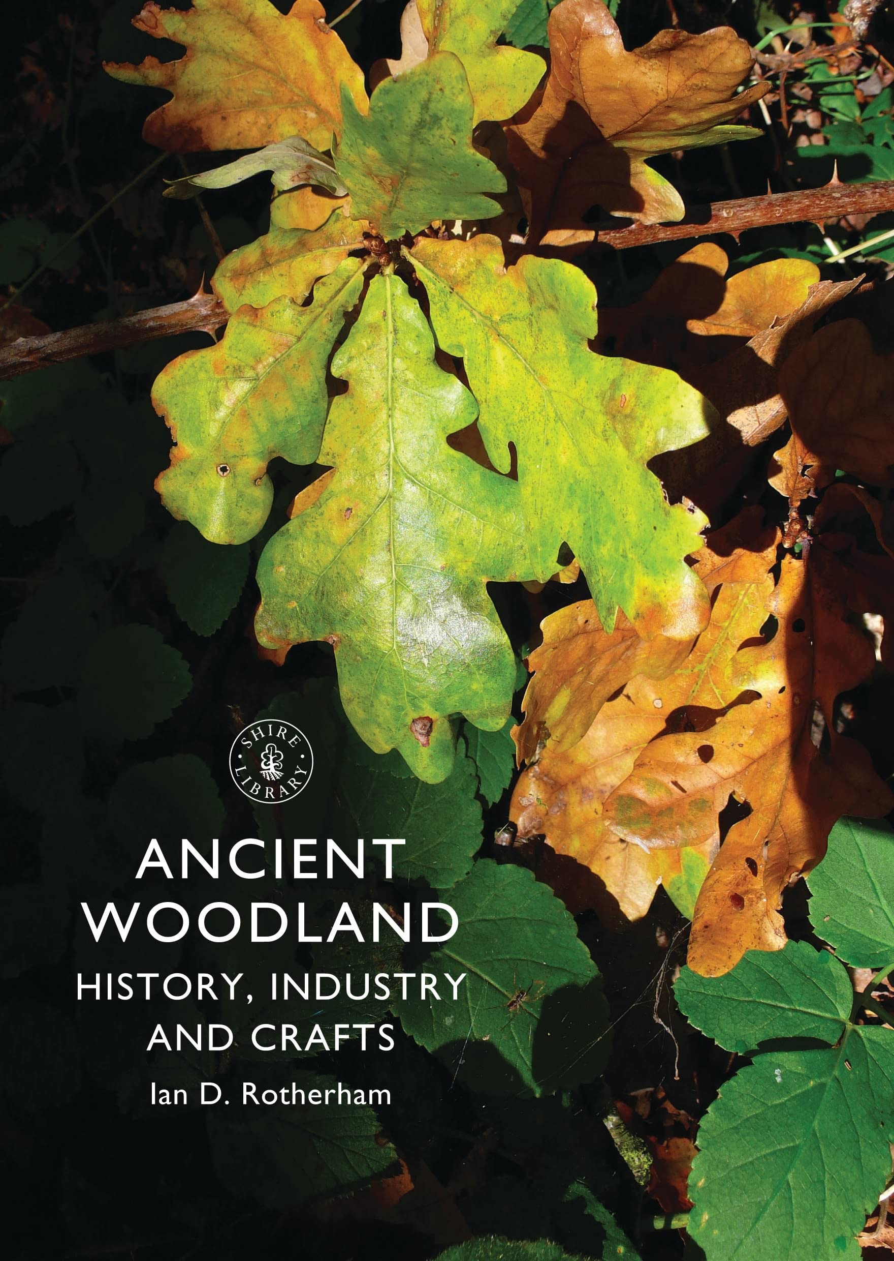 Ancient Woodland: History, Industry and Crafts (Shire Library, Band 697) Geology & Geography