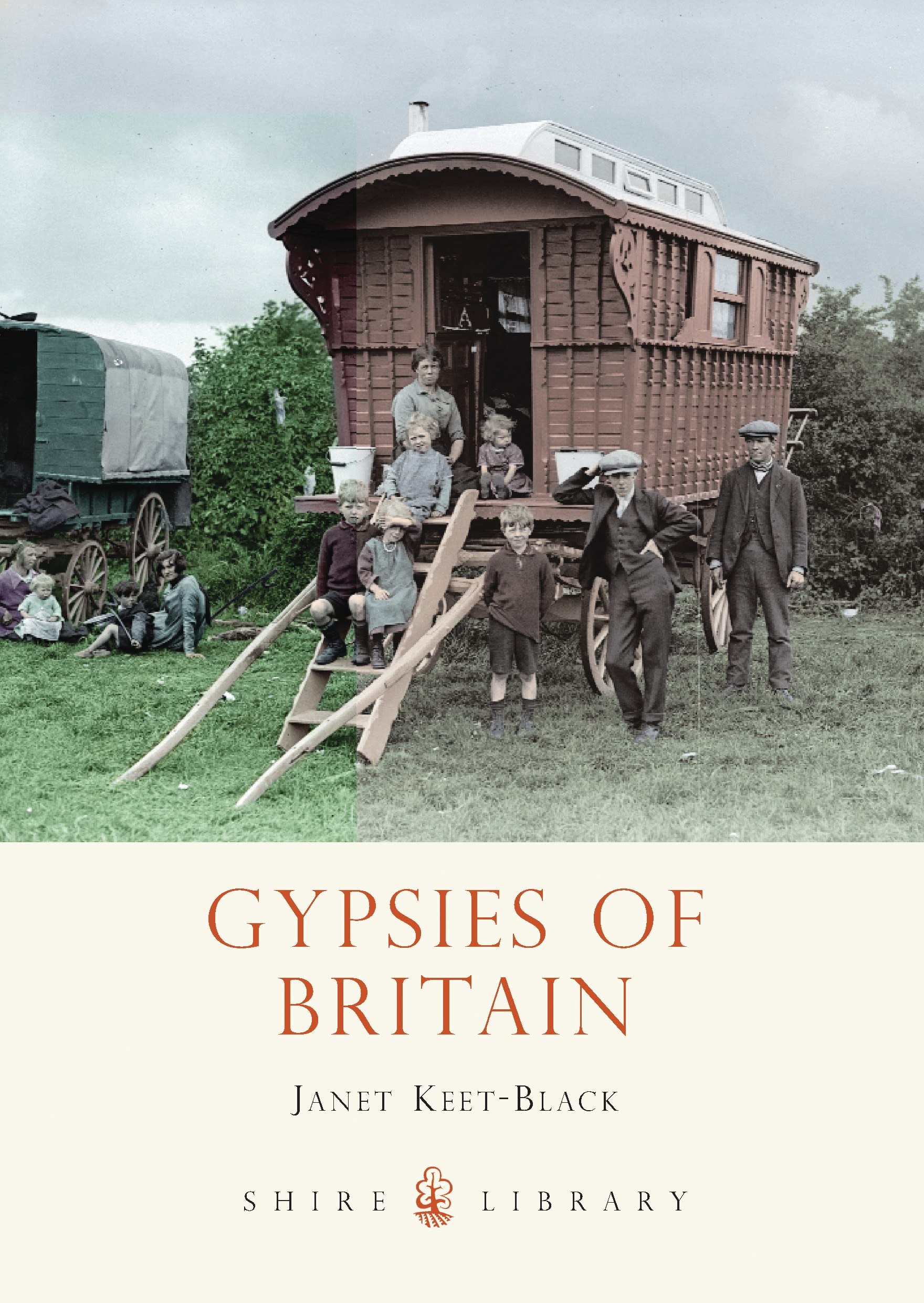 Gypsies of Britain book