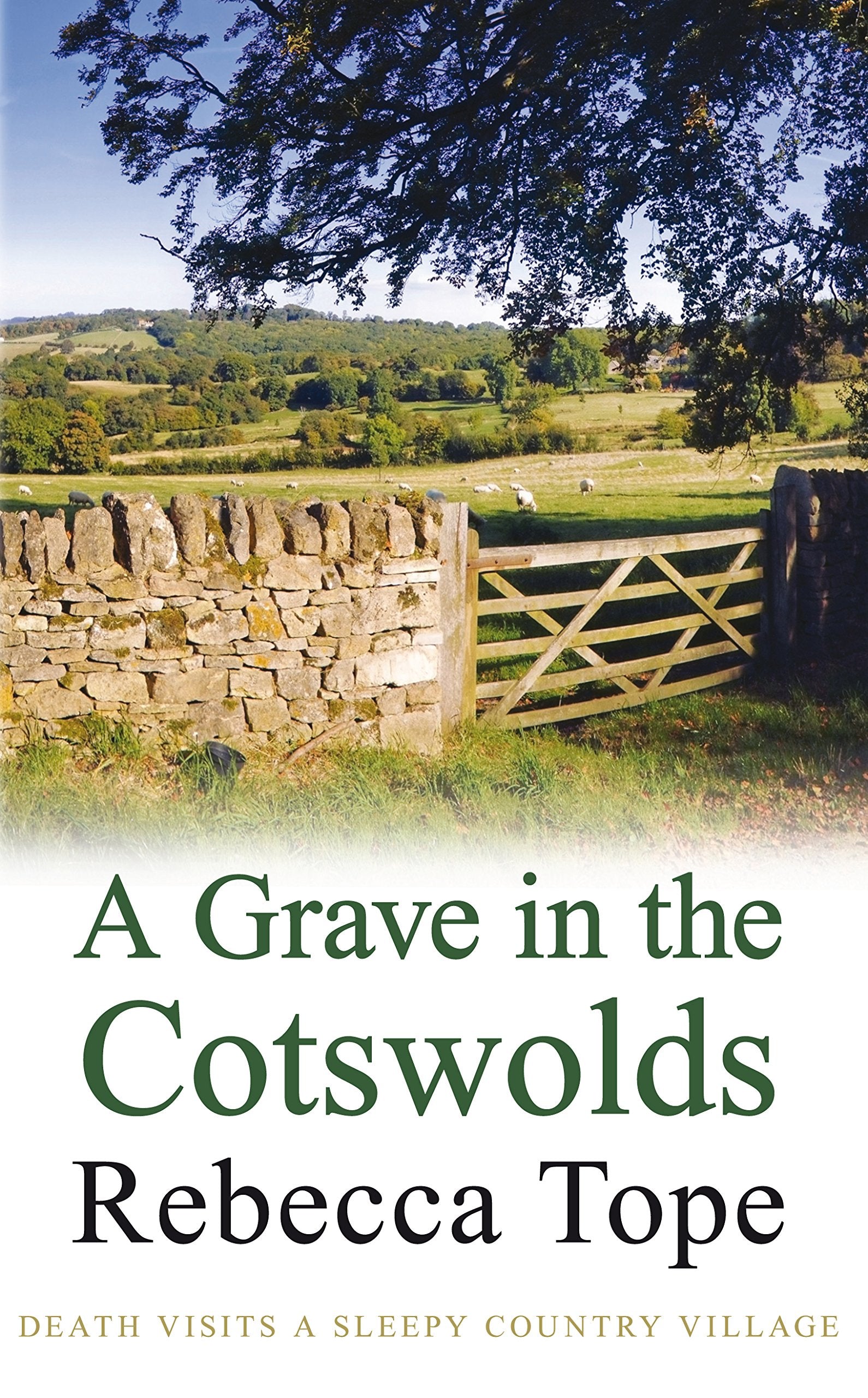 A Grave in the Cotswolds (The Cotswold Mysteries, Band 8) Contemporary literature