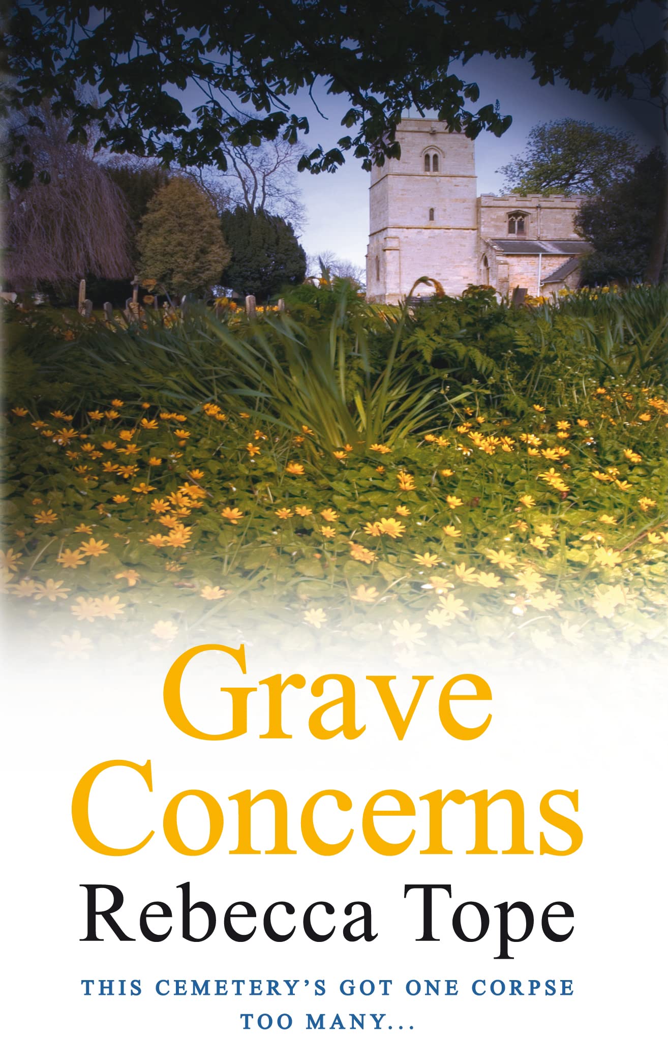 Grave Concerns: The gripping rural whodunnit (West Country Mysteries) Contemporary literature
