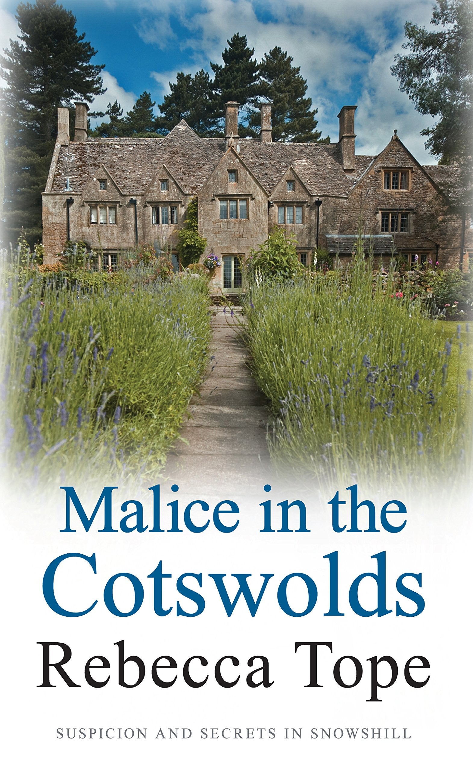 Malice in the Cotswolds (Cotswold Mysteries, Band 10) Contemporary literature
