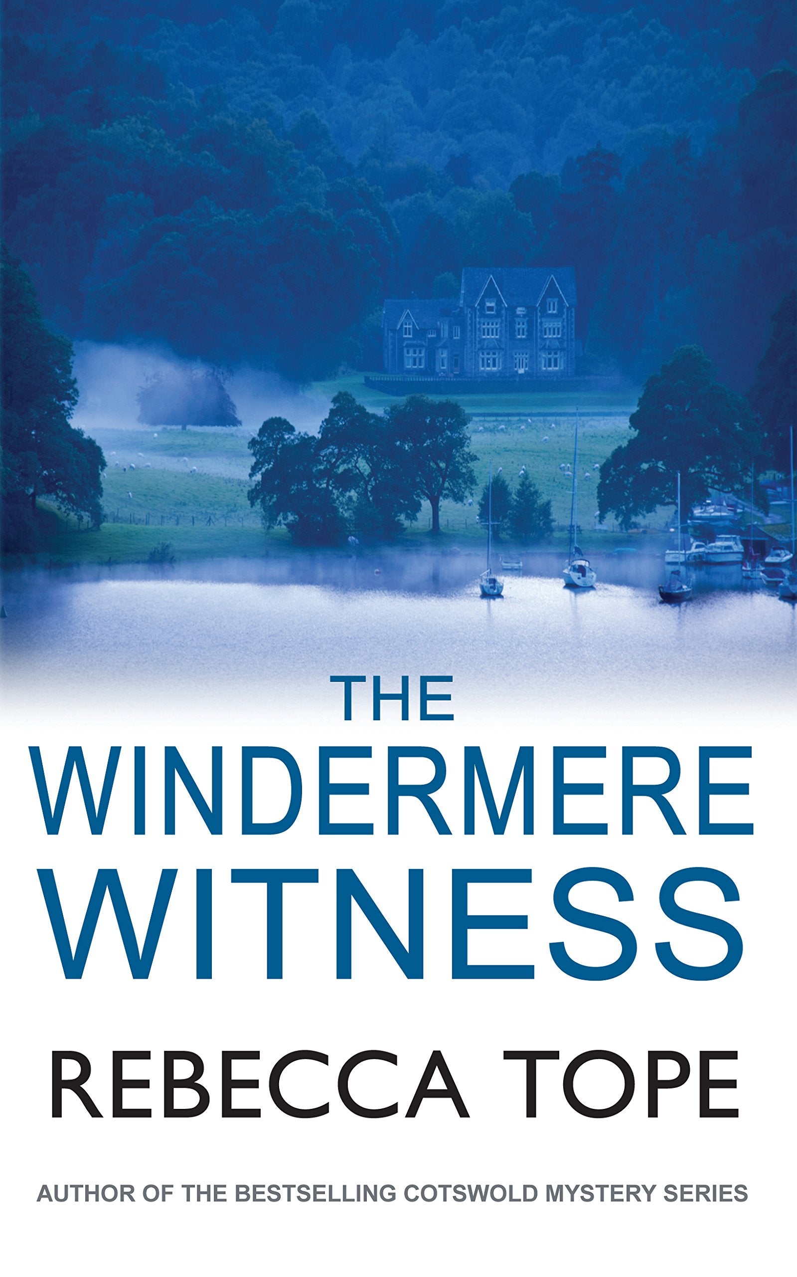 The Windermere Witness Contemporary literature