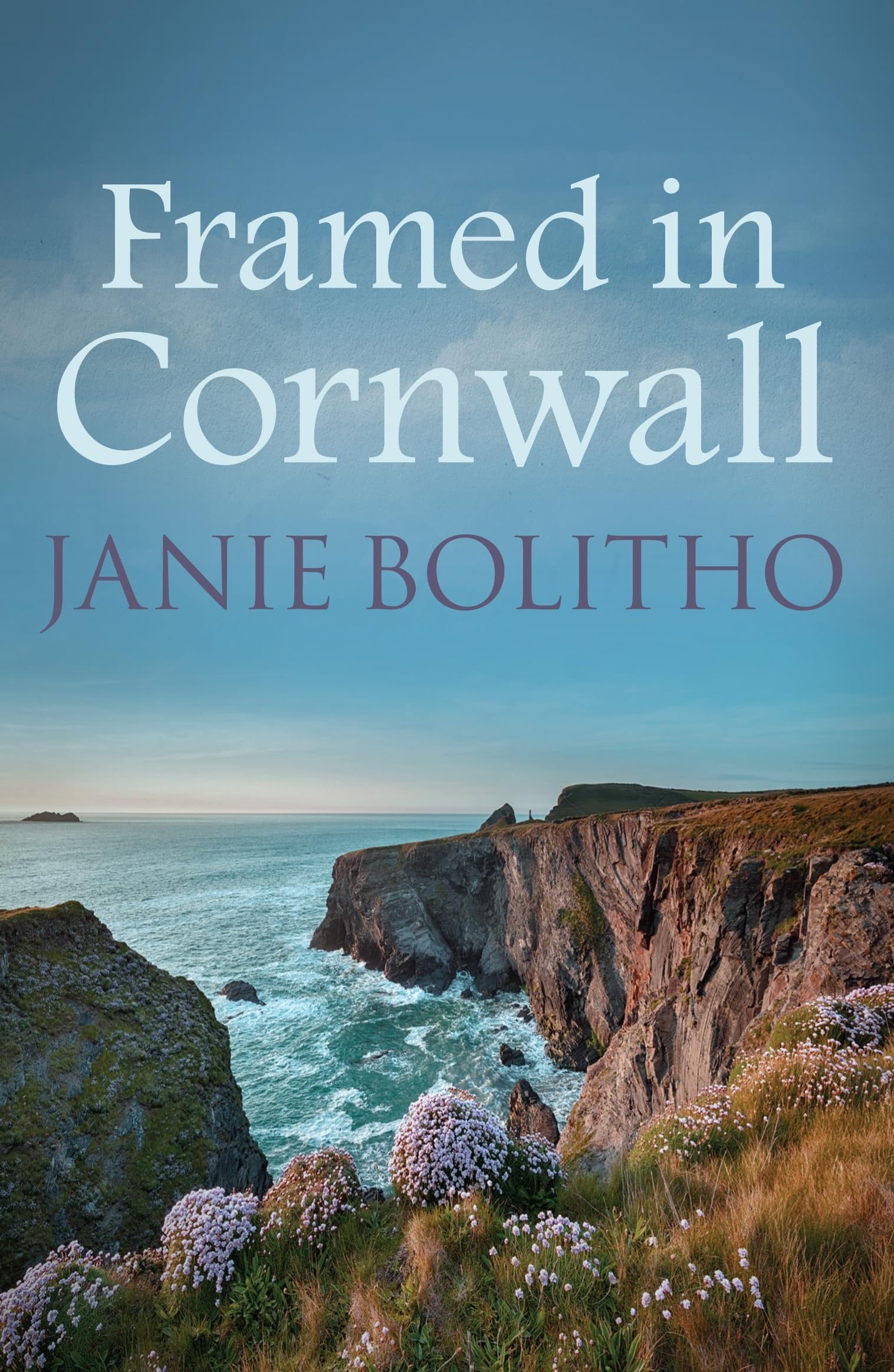 Framed in Cornwall Contemporary literature Books