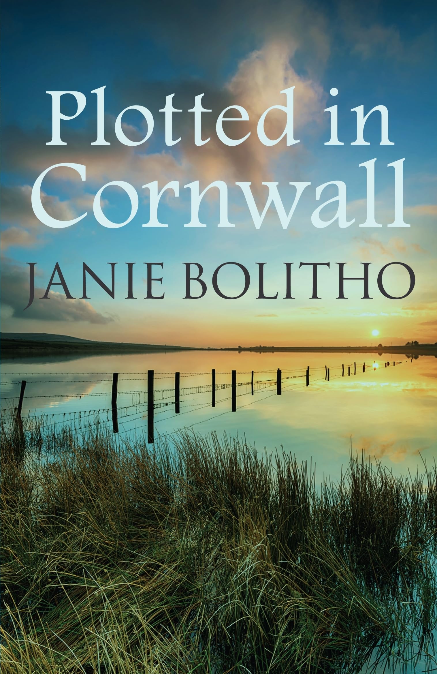 Plotted In Cornwall: The addictive cosy Cornish crime series (Cornwall Mysteries, Band 5) Contemporary literature