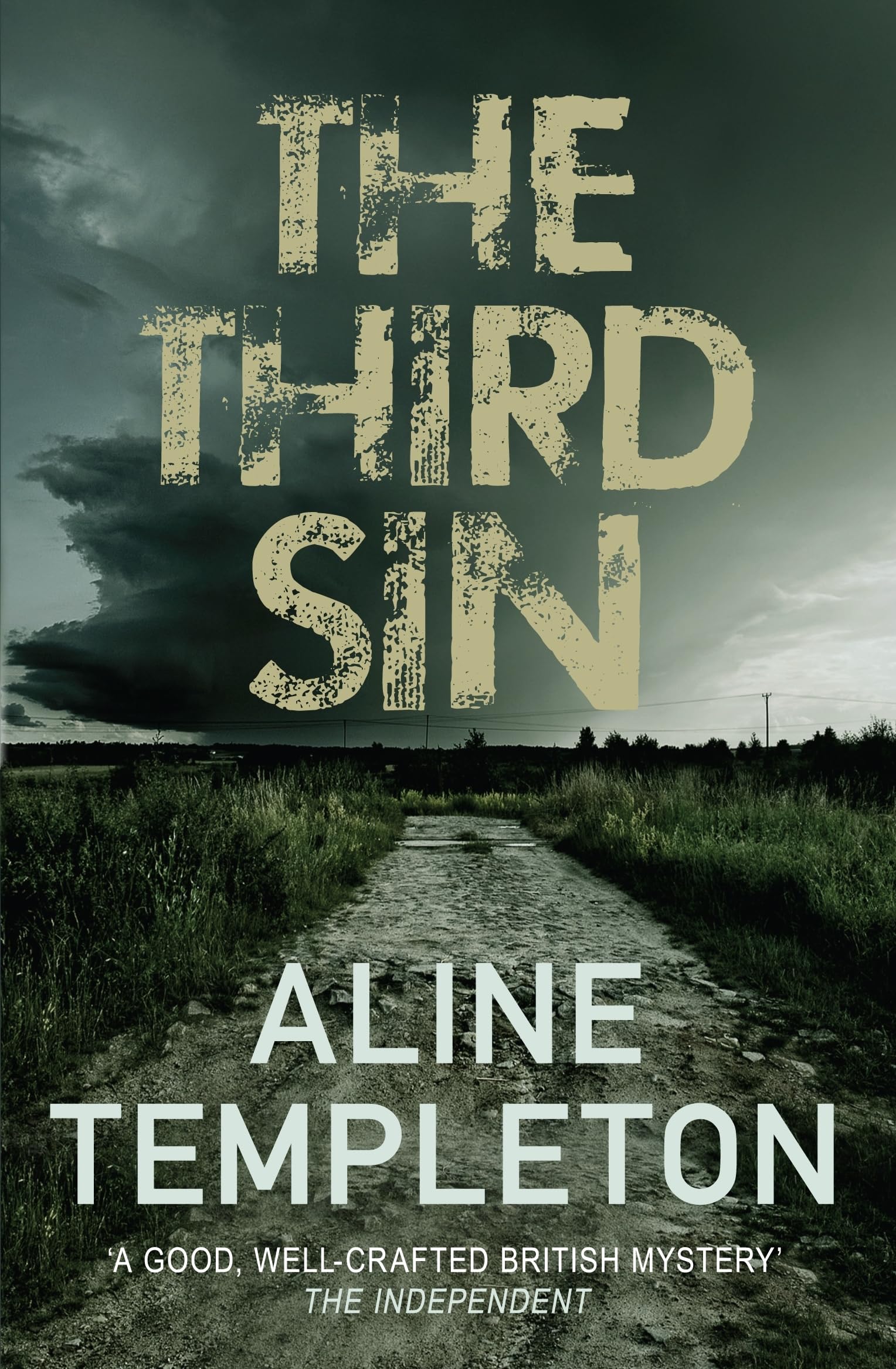The Third Sin Contemporary literature Books