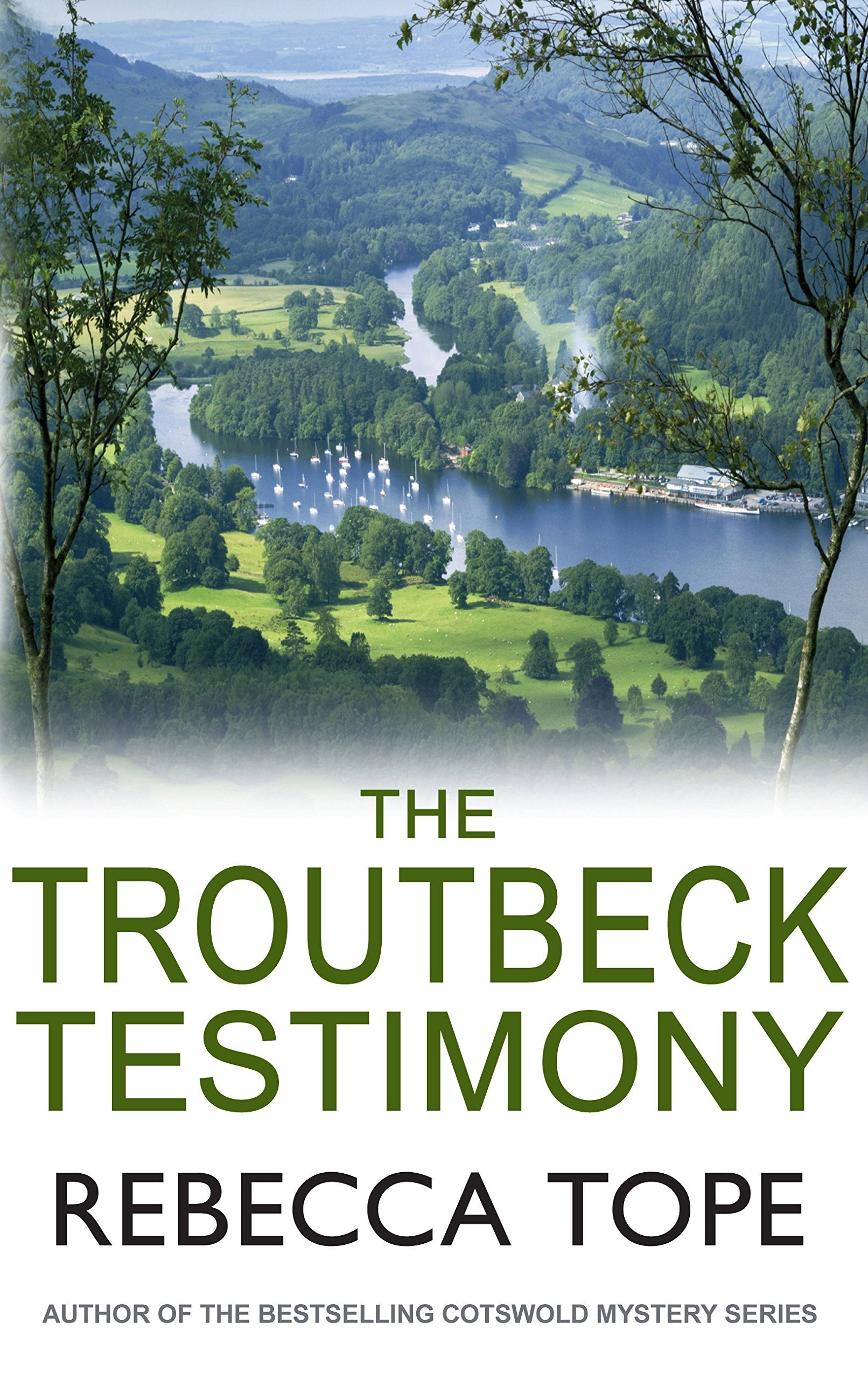 Troutbeck Testimony (Lake District Mysteries, Band 4) Contemporary literature