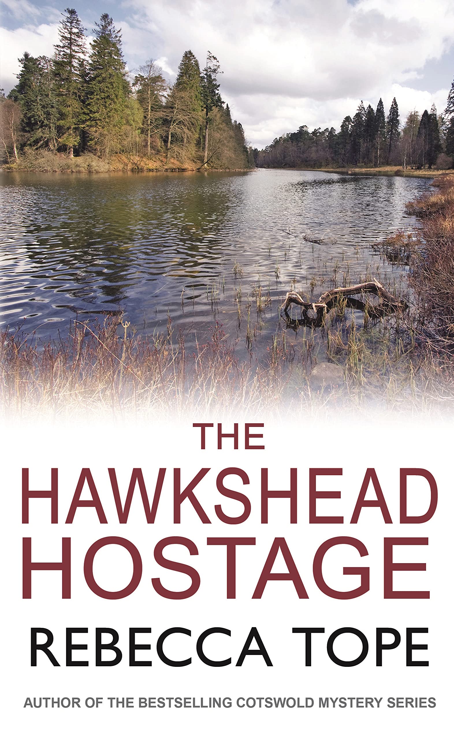 The Hawkshead Hostage: The must-read English cosy crime series (Lake District Mysteries) Contemporary literature