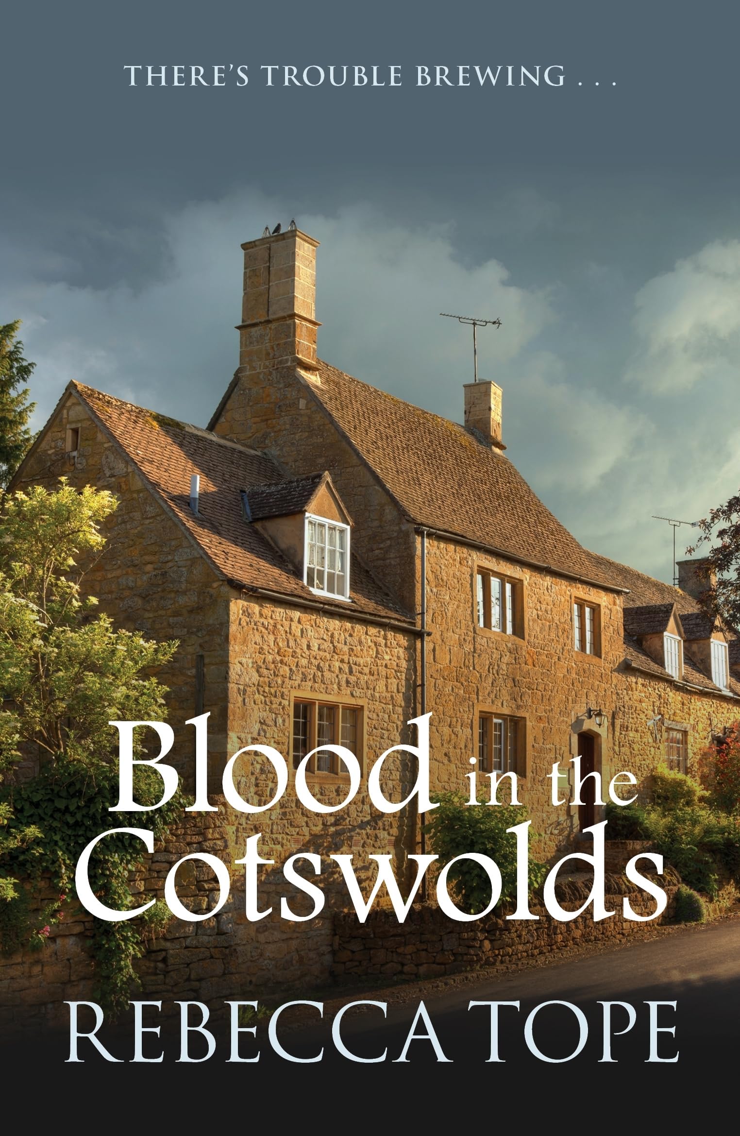 Blood in the Cotswolds Contemporary literature