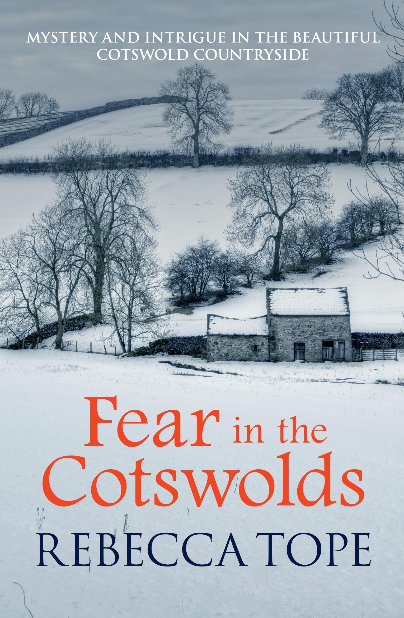 Fear in the Cotswolds: The page-turning cosy crime series (Cotswold Mysteries, 7, Band 7) Contemporary literature Books