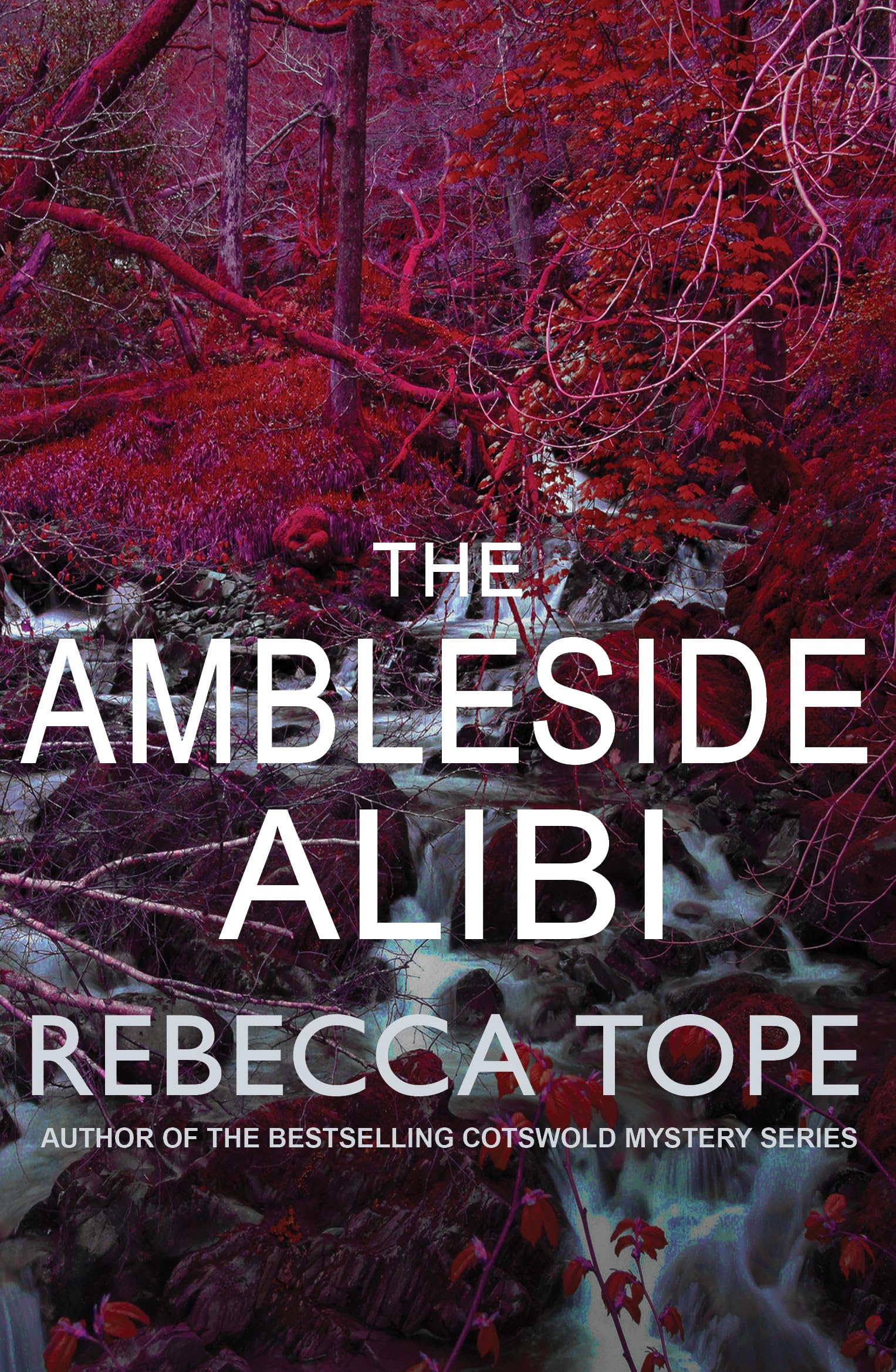 The Ambleside Alibi Contemporary literature Books