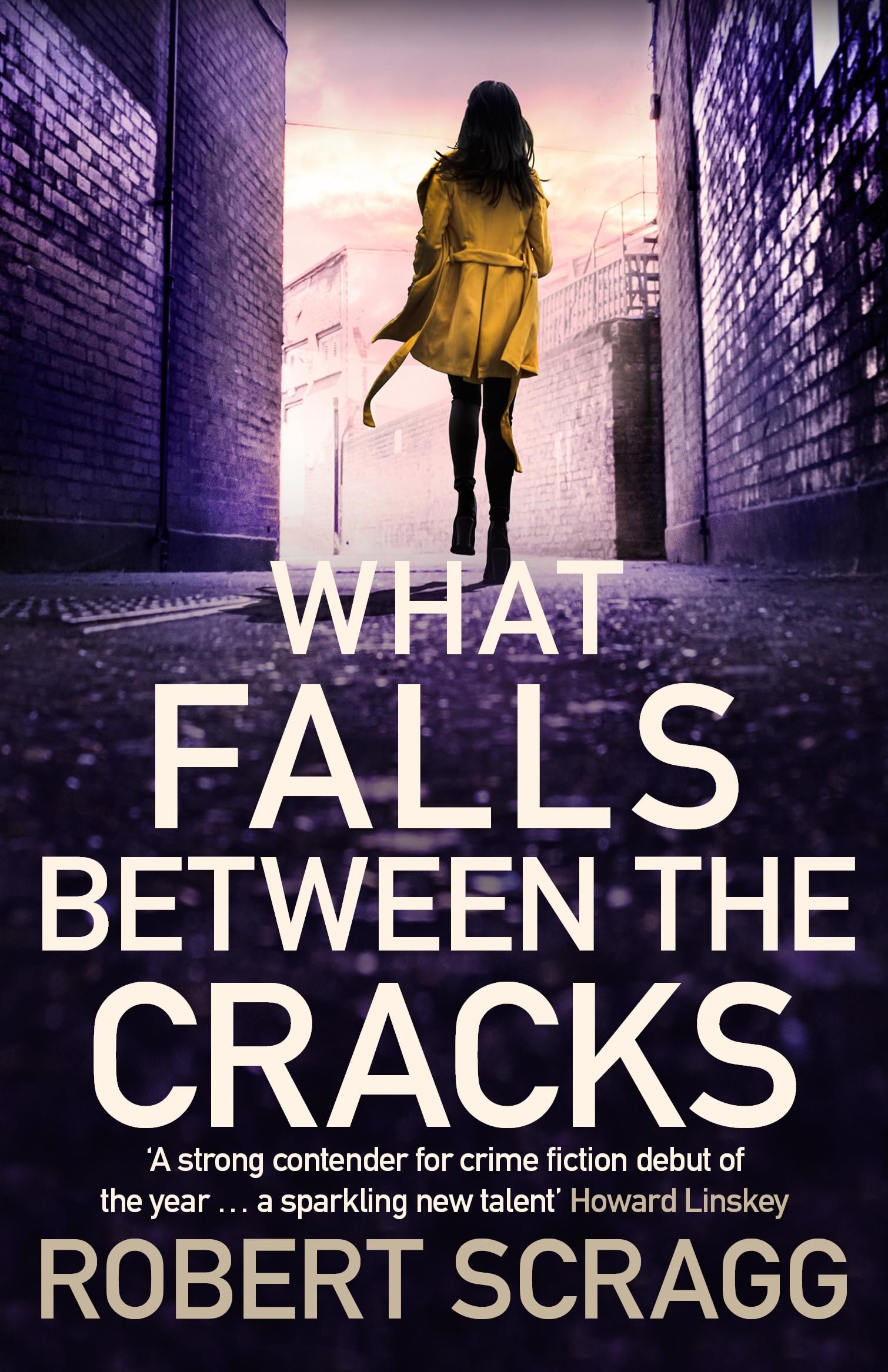 What Falls Between the Cracks: The gripping debut that will have you reading late into the night (Porter & Styles, 1, Band 1) Action & Adventure