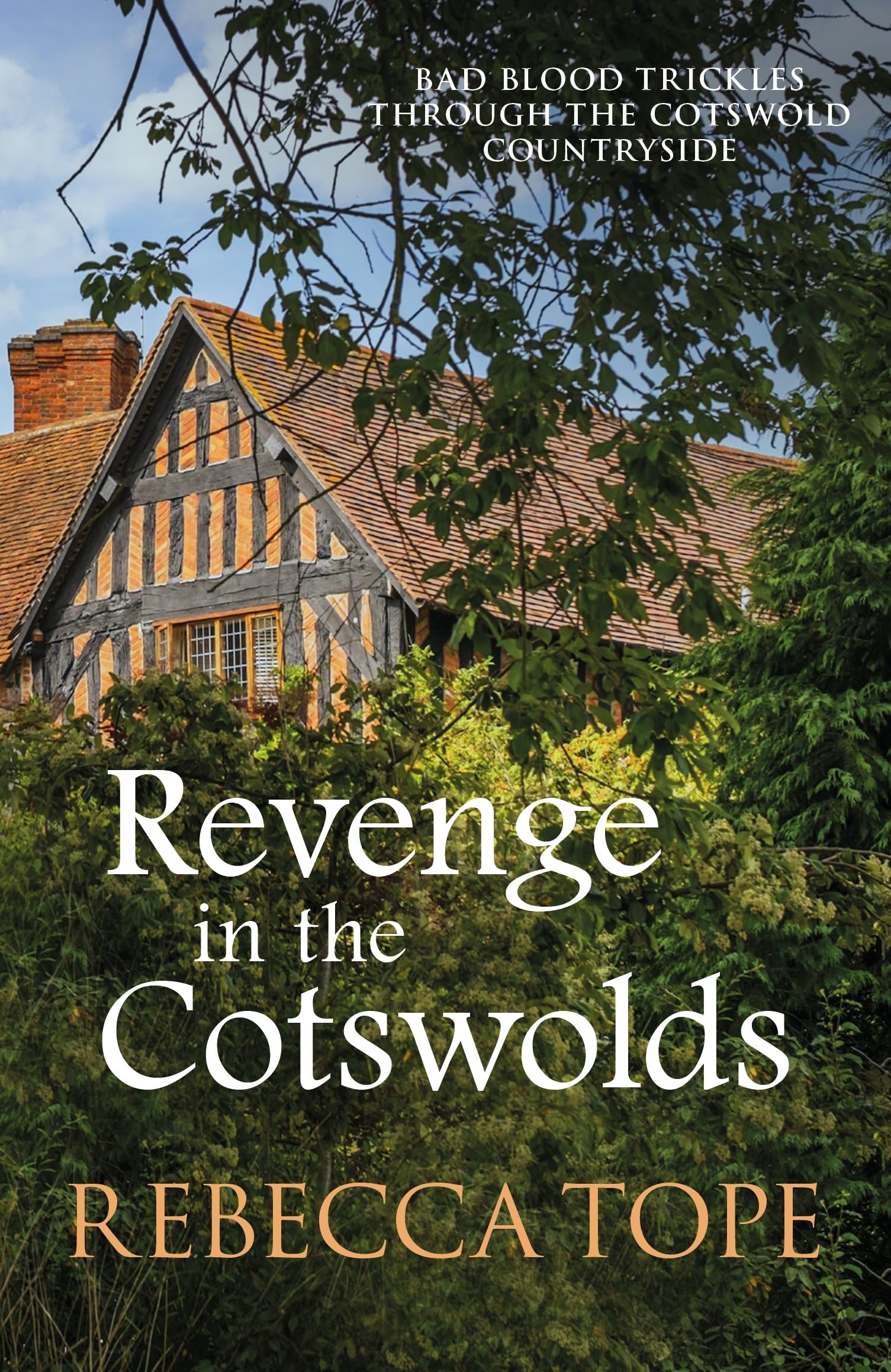 Revenge in the Cotswolds Historical Fiction