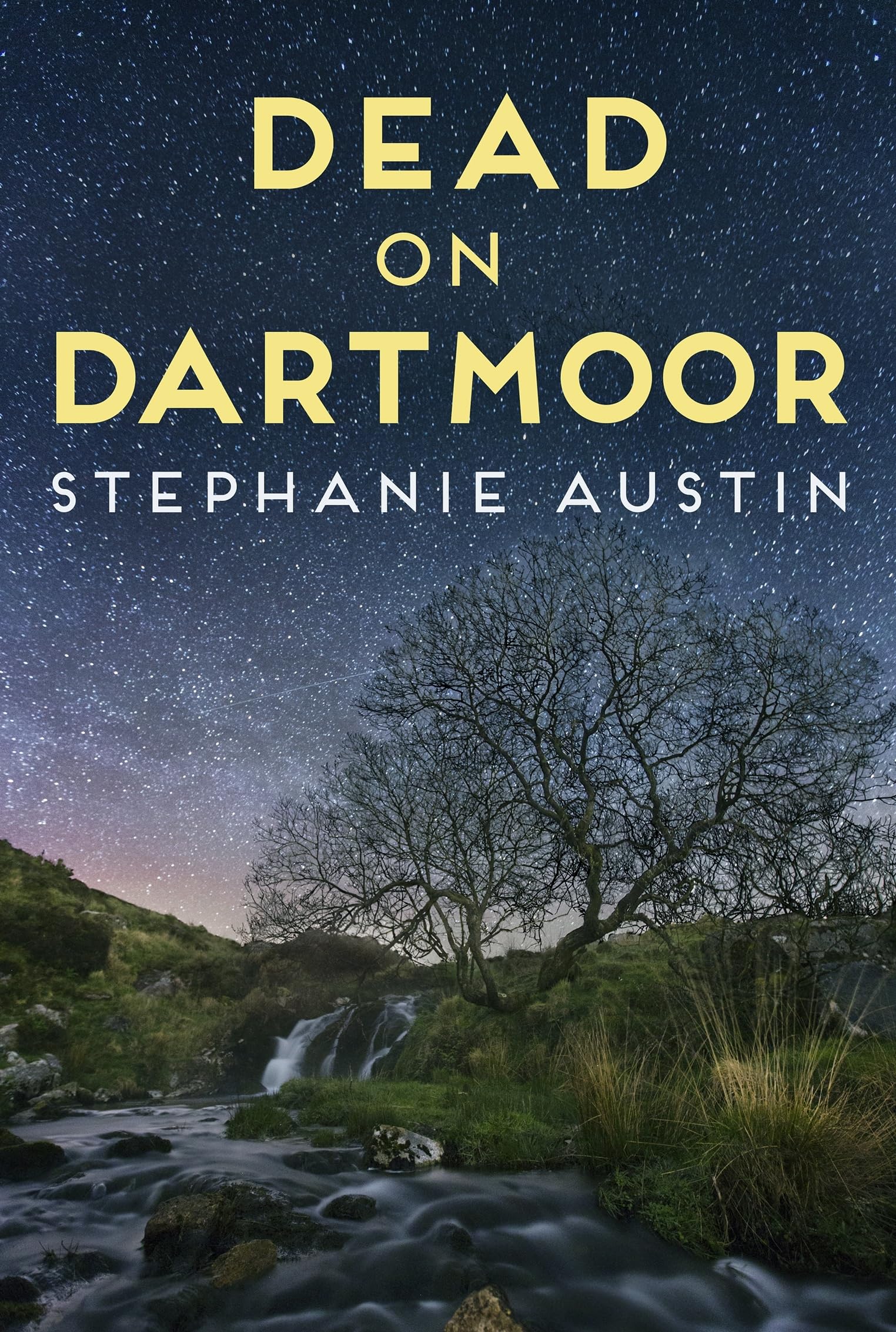 Dead on Dartmoor: The thrilling cosy crime series (Devon Mysteries, 2, Band 2) Contemporary literature